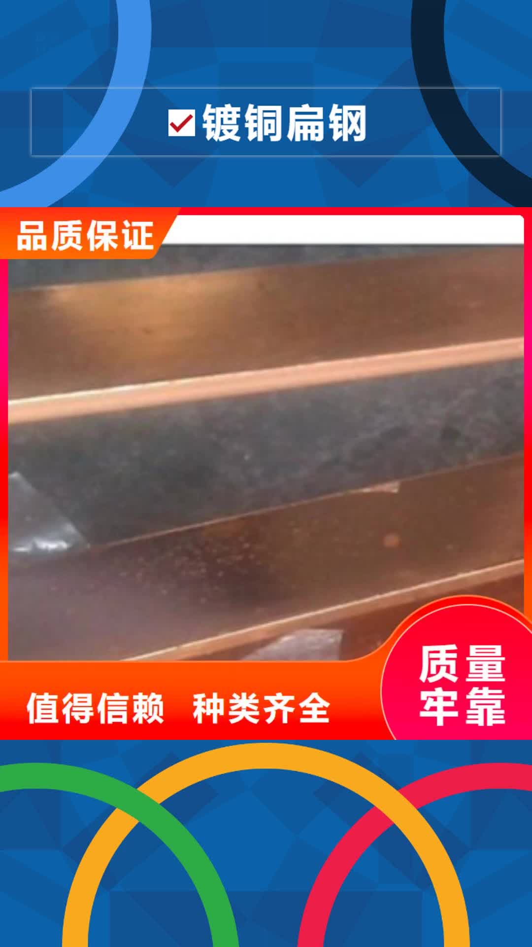 【枣庄 镀铜扁钢_欧标工字钢技术先进】