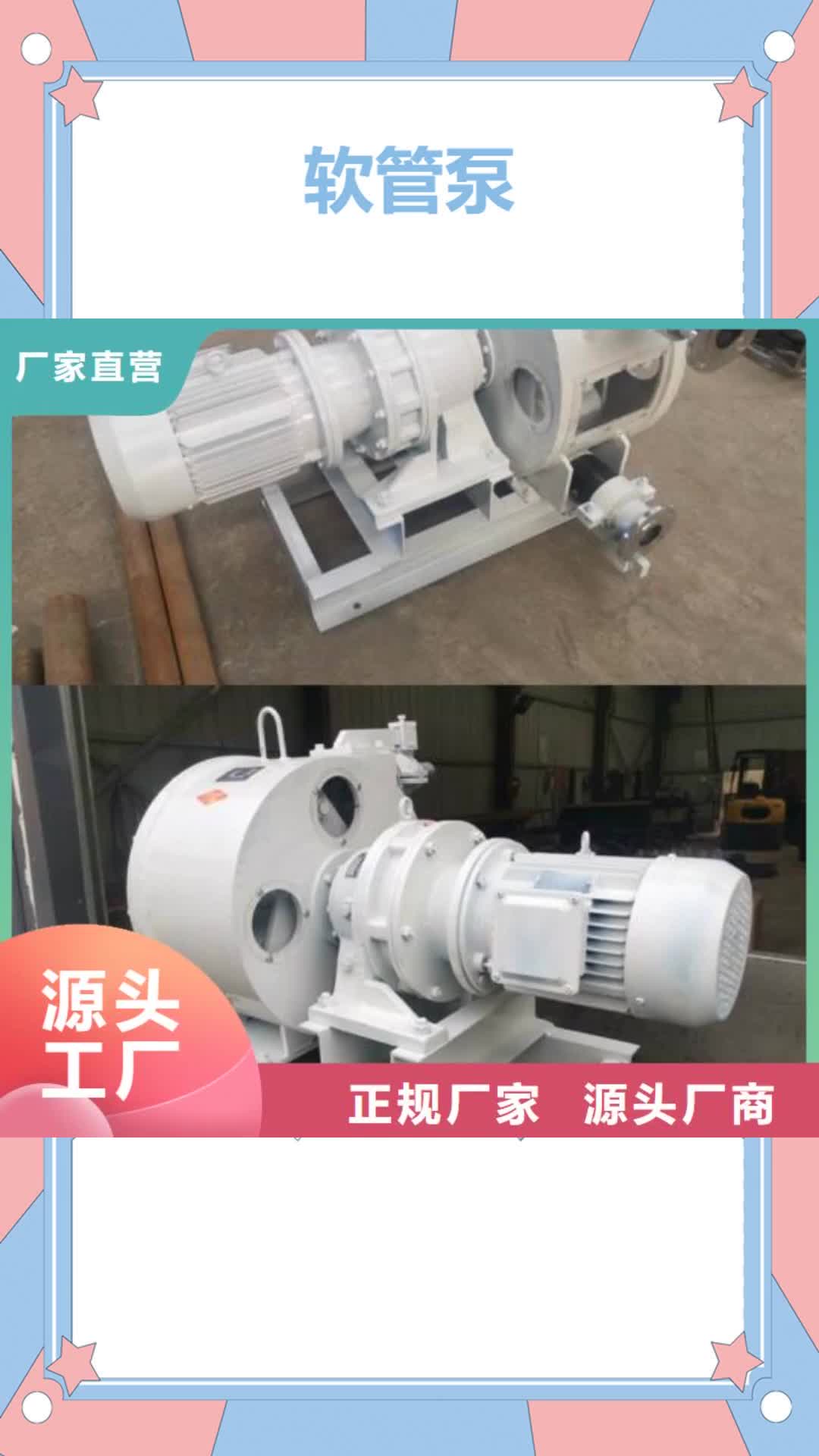 苏州【软管泵】 拦水带成型机质保一年