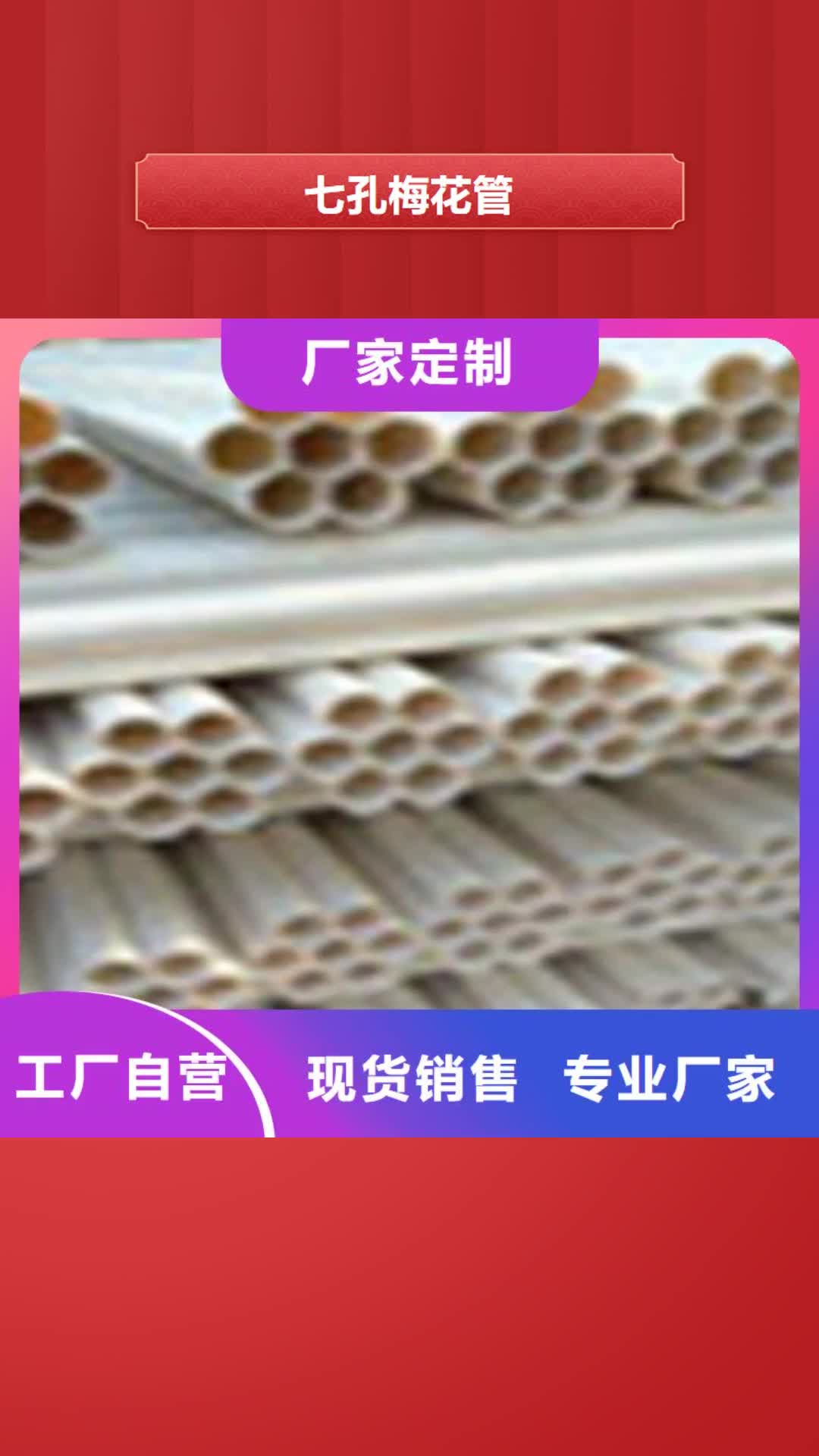 【济宁 七孔梅花管CPVC电力管有实力有经验】
