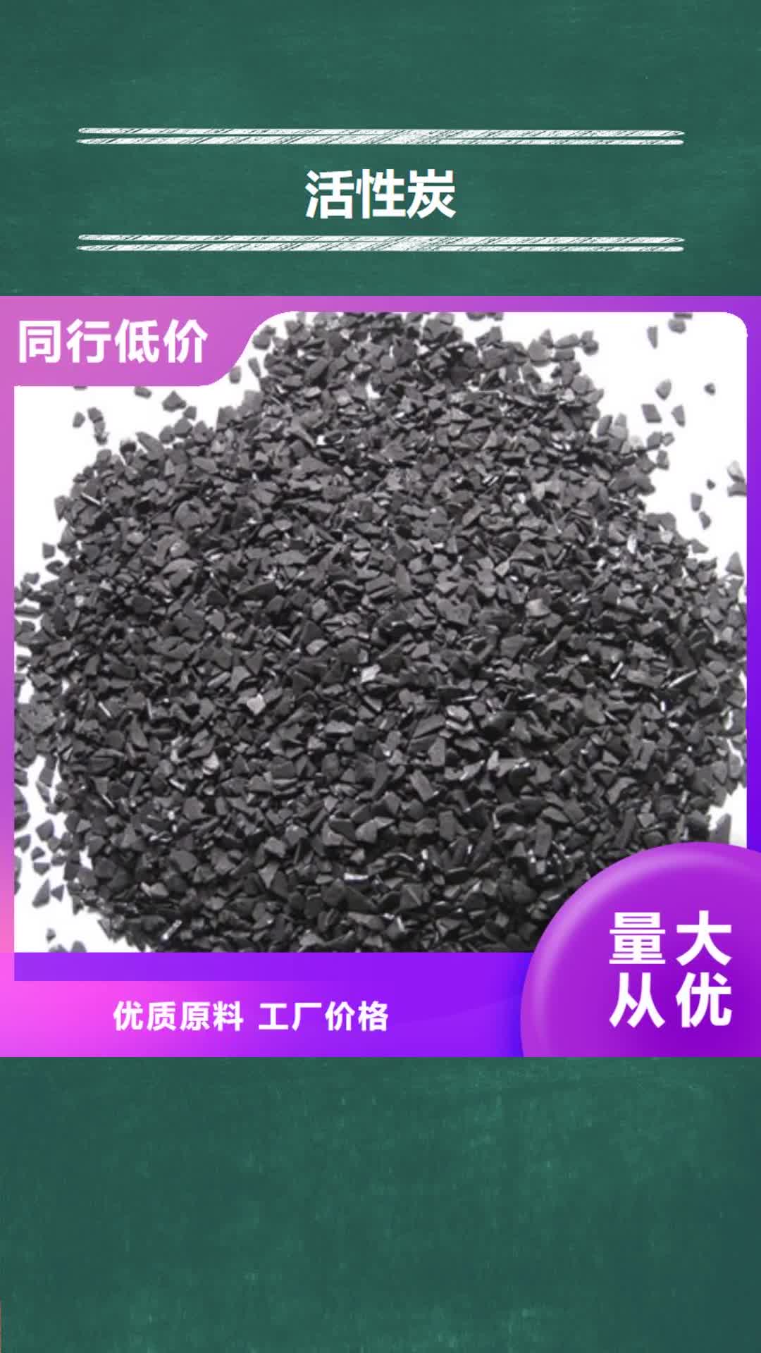 【沧州 活性炭_纤维球厂家实力大】