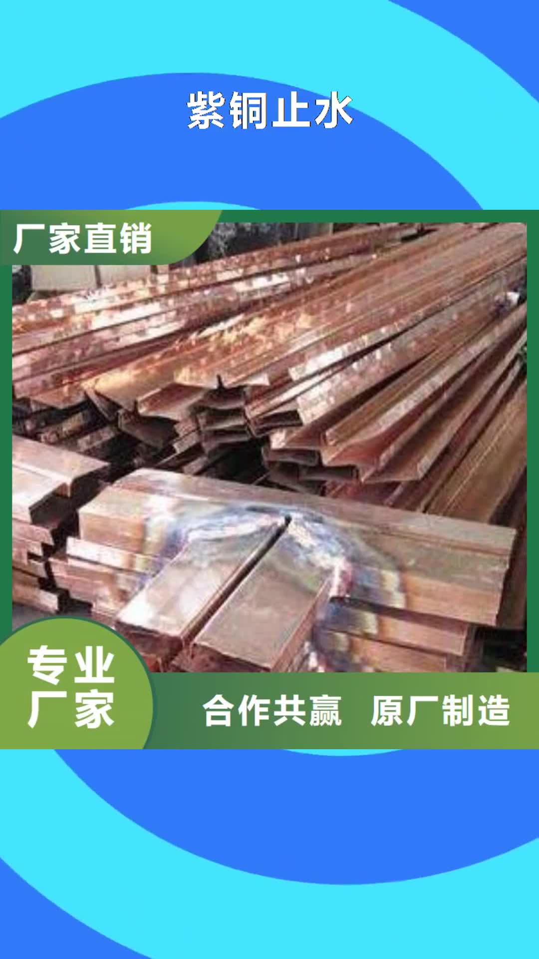 六盘水 紫铜止水,【橡胶止水带】设计合理
