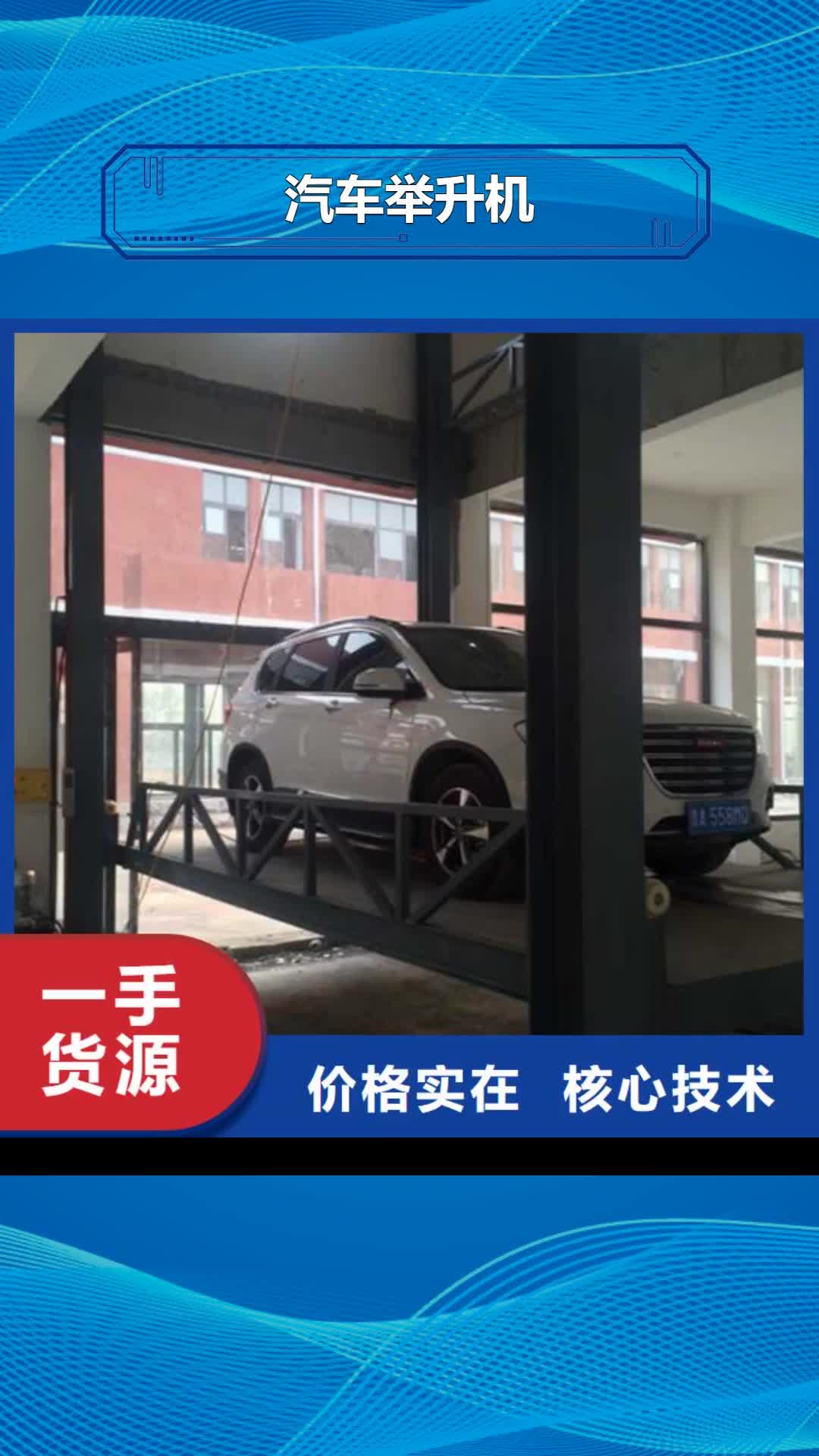 湘西【汽车举升机】 家用电梯厂哪家好大厂生产品质