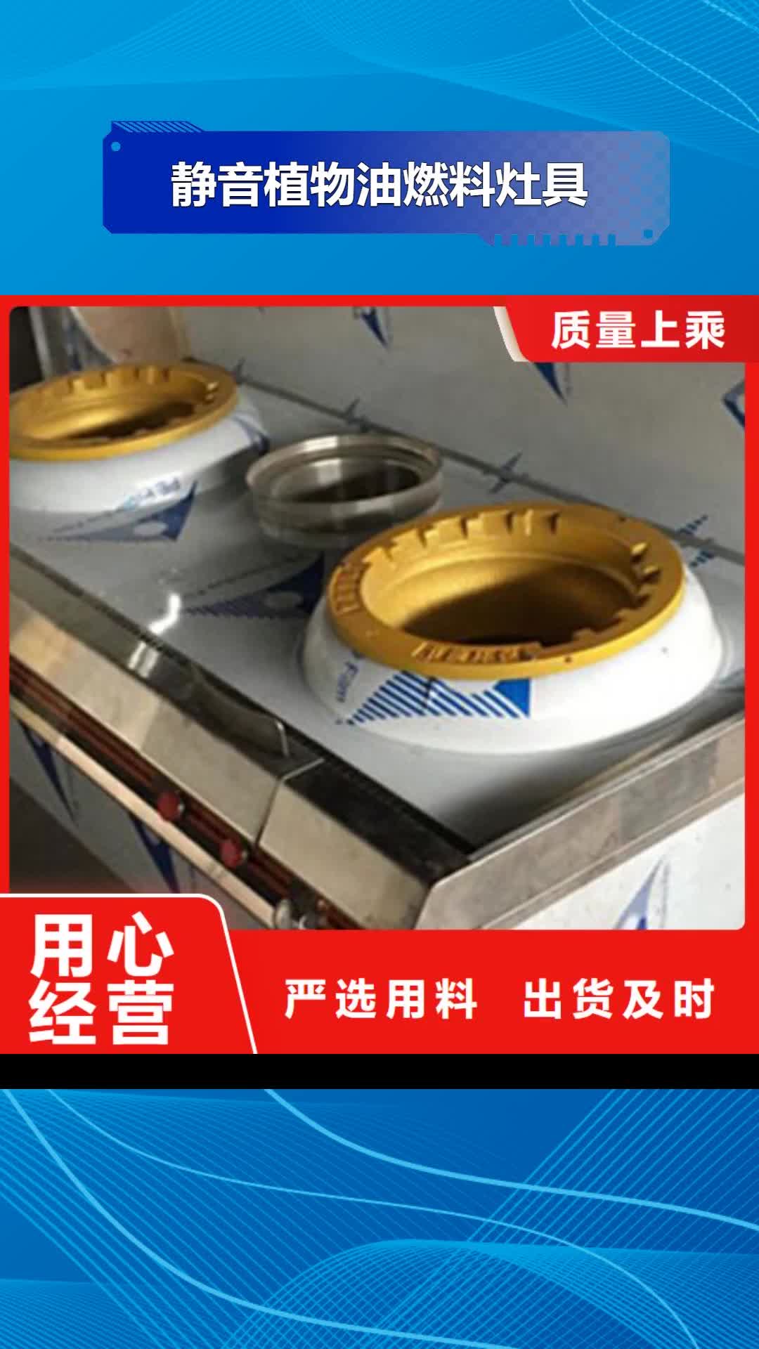 【漯河 静音植物油燃料灶具-植物燃料油配方自有厂家】