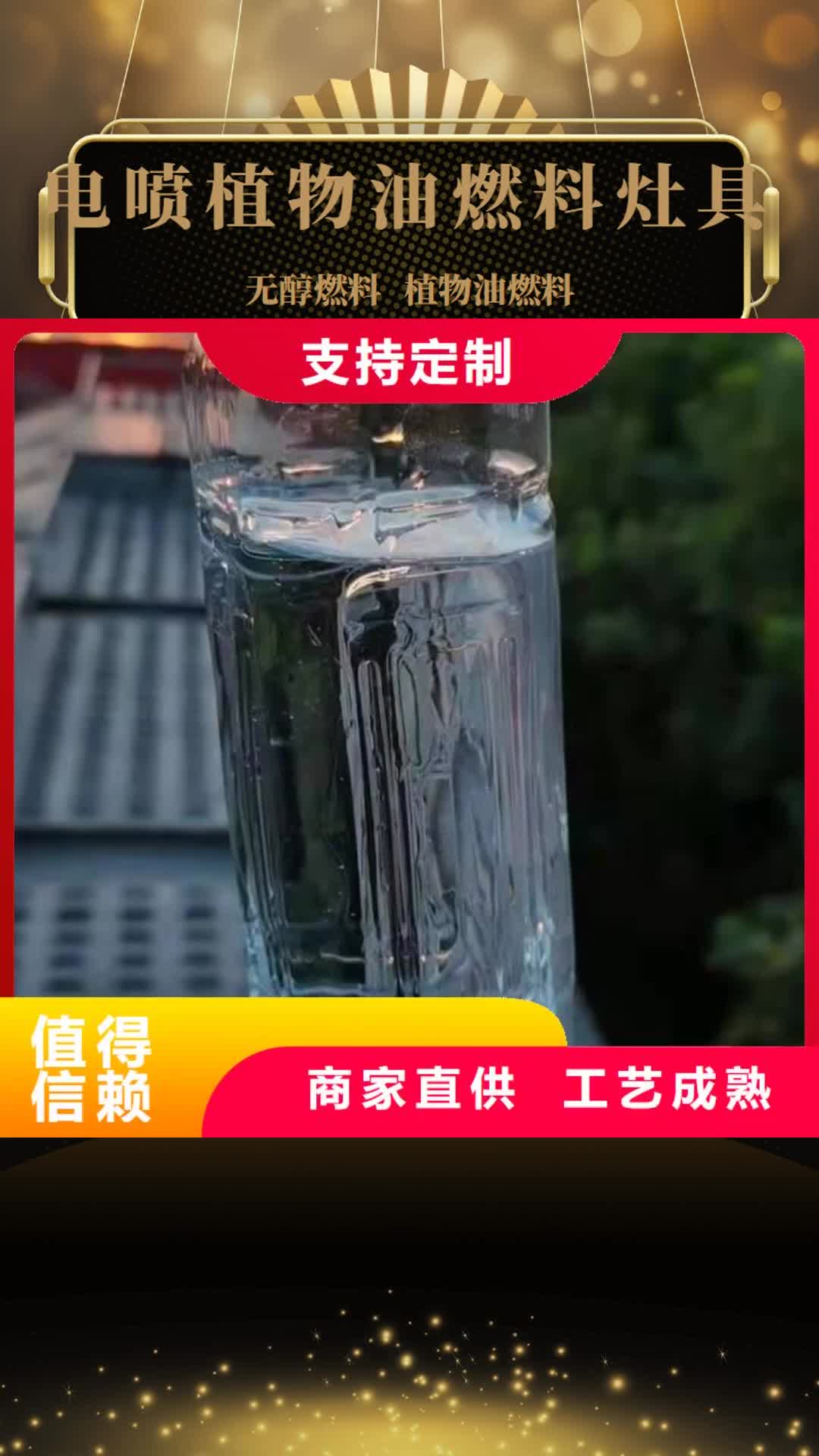 鄂州 电喷植物油燃料灶具-【无醇燃料技术培训】一手货源