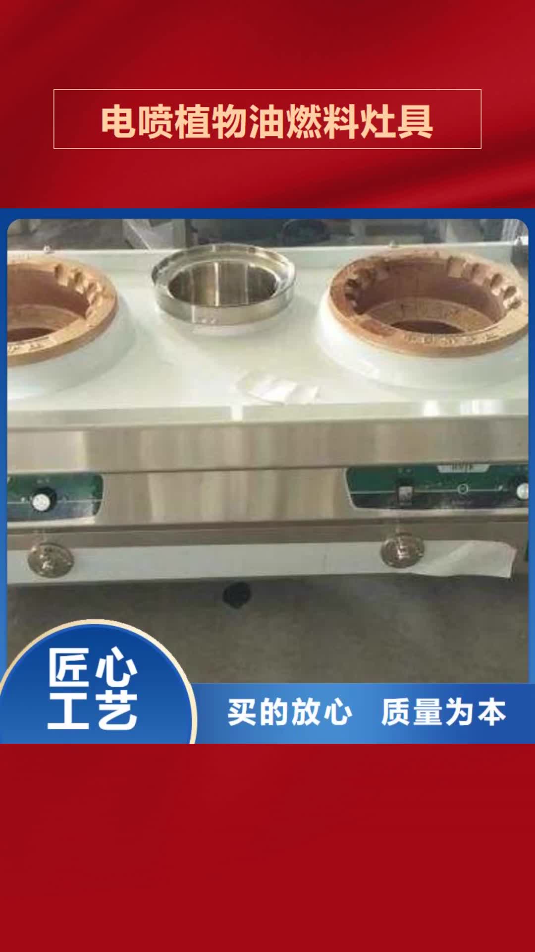 【庆阳 电喷植物油燃料灶具_无醇燃料油配方诚信商家服务热情】