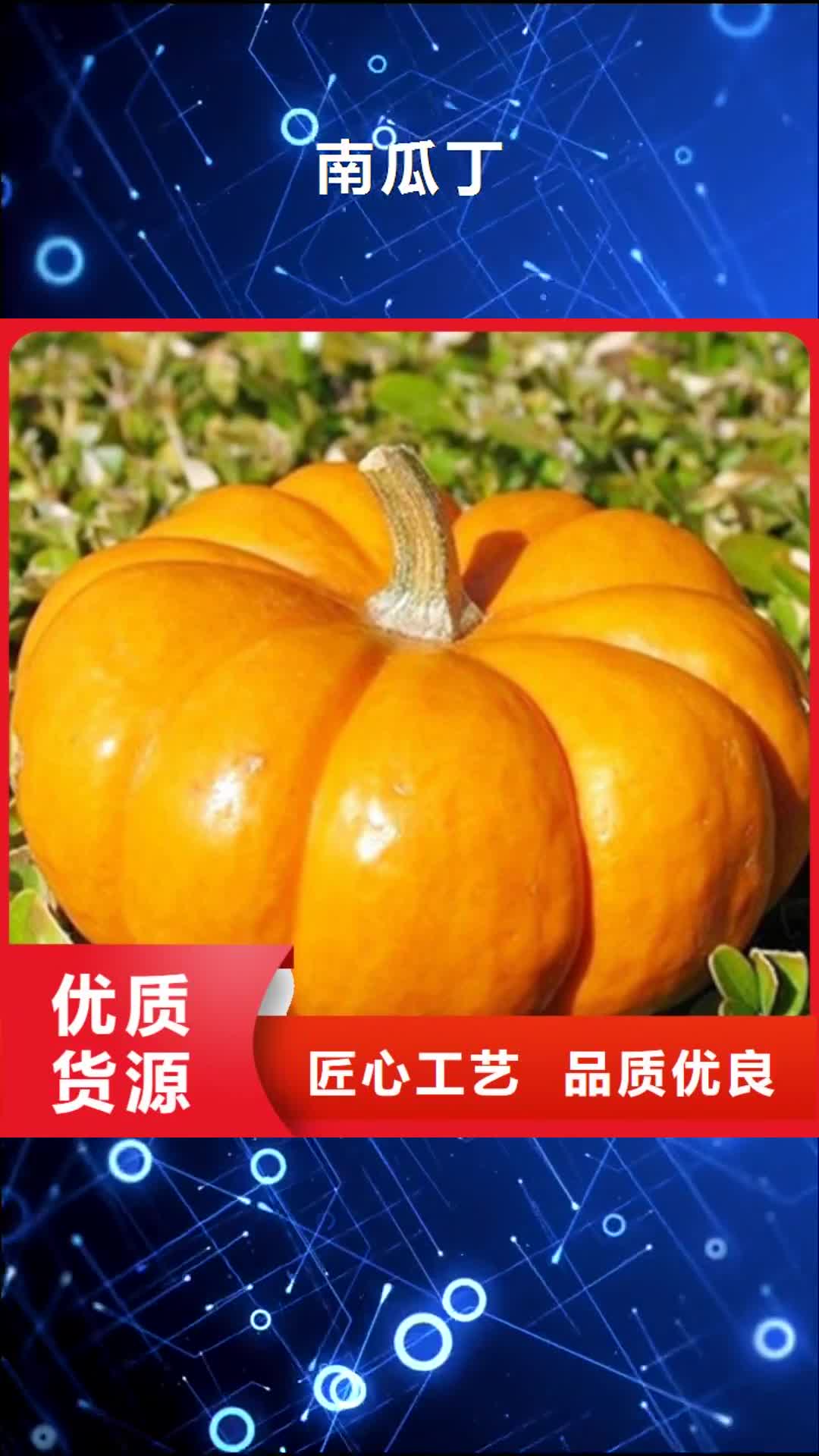 甘肃【南瓜丁】 红薯粉品质优选