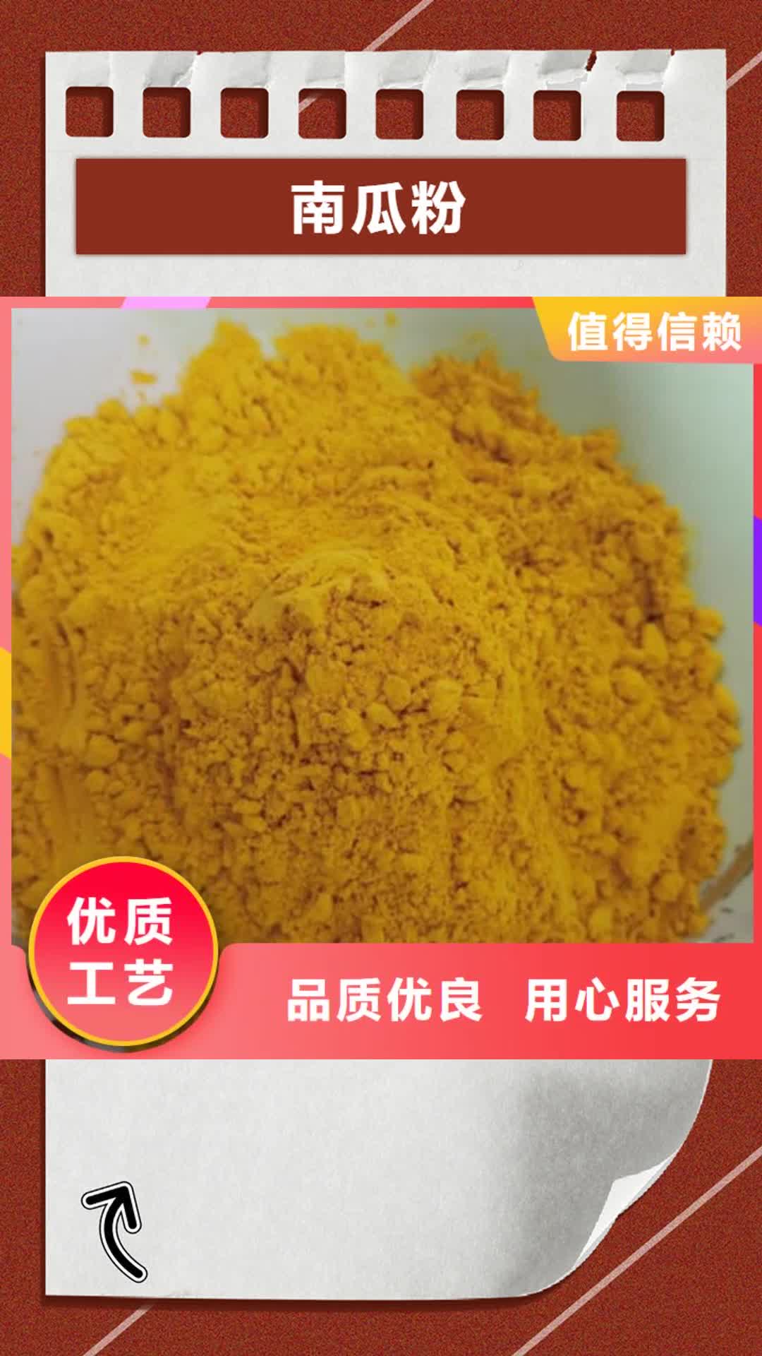 【益阳 南瓜粉 灵芝菌种大量现货供应】