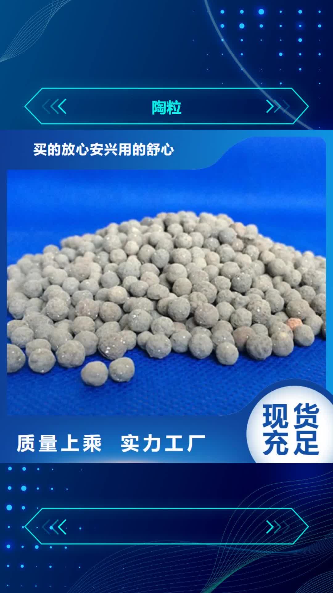 惠州 陶粒_【氨氮去除剂】精工细致打造