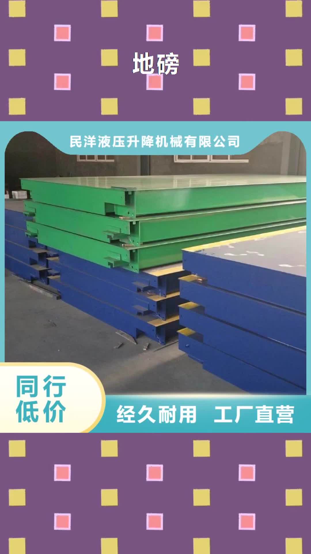 南阳【地磅】-传菜电梯厂家省心又省钱
