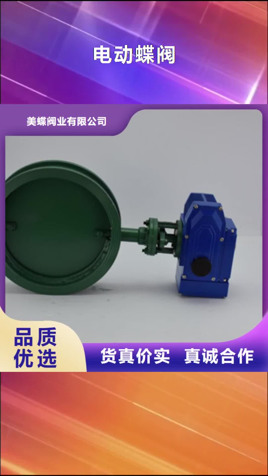 【黑龙江 电动蝶阀,气动蝶阀厂家实力雄厚】