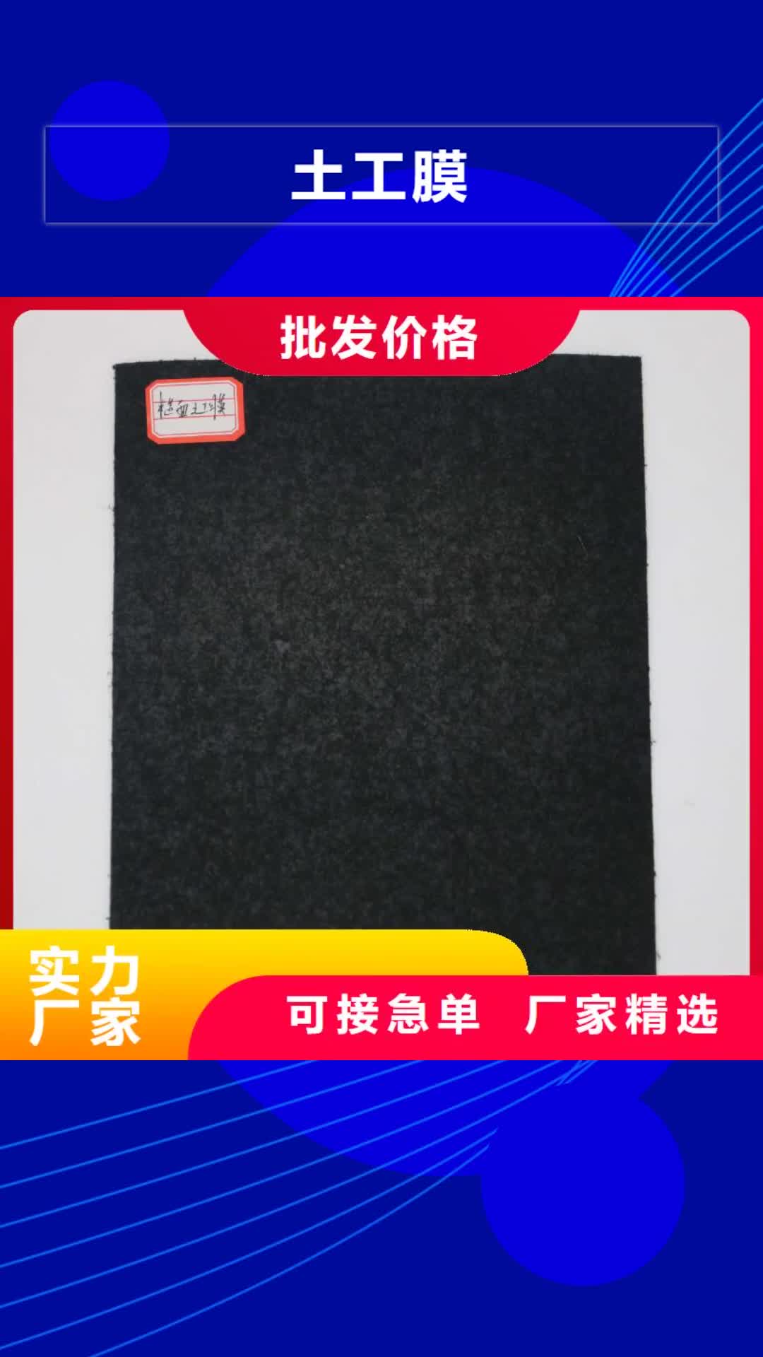 【信阳 土工膜双向拉伸塑料格栅厂家现货批发】
