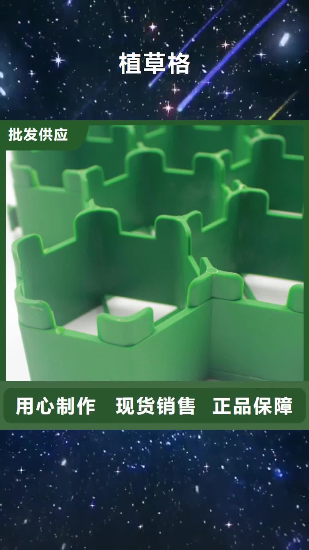 沈阳【植草格】,长丝土工布满足客户需求
