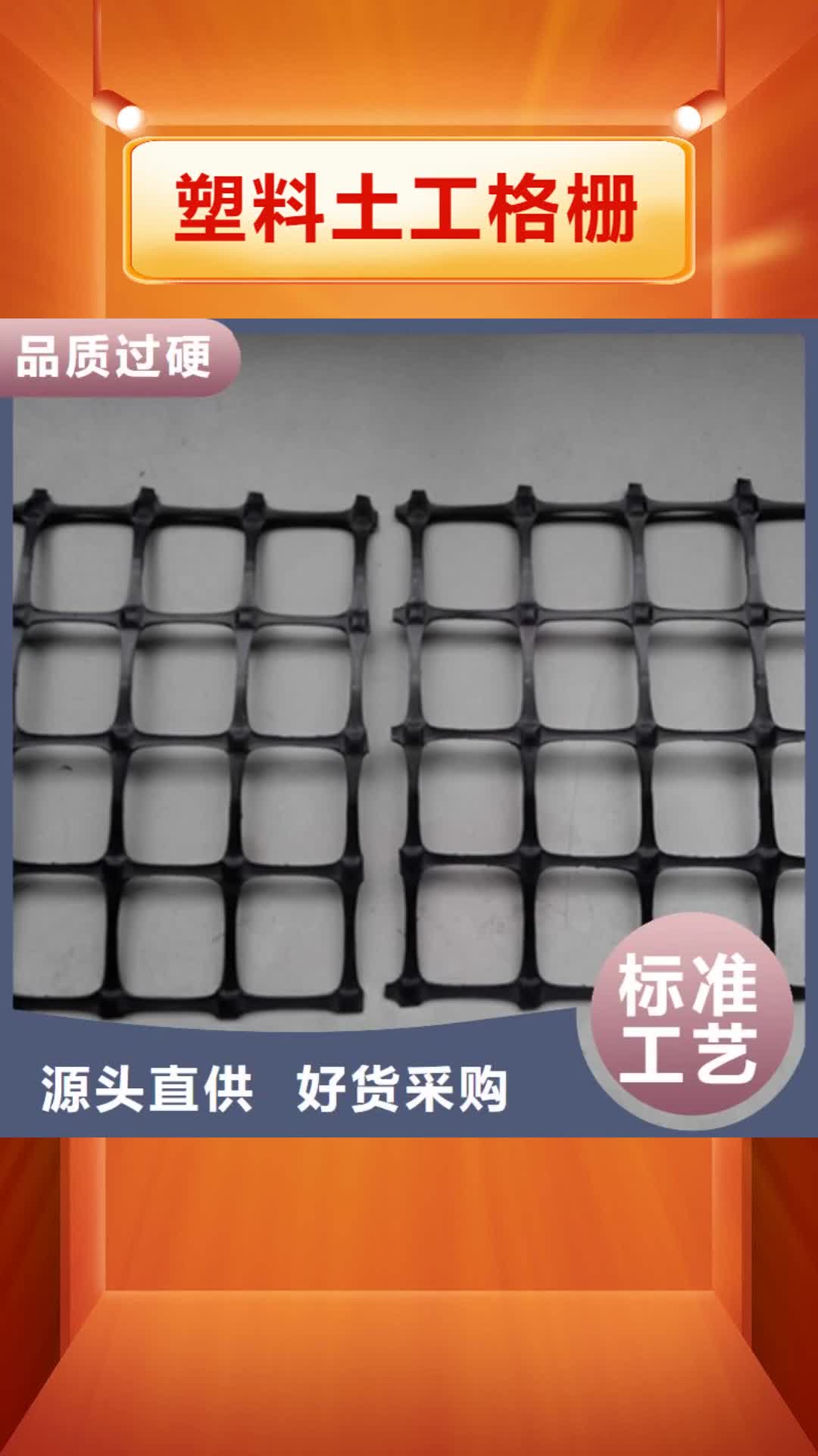 大连【塑料土工格栅】-双向土工格栅应用广泛