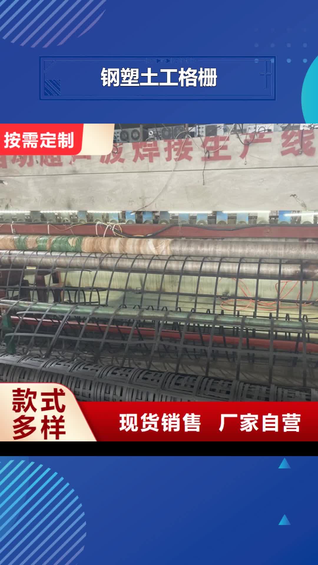 【乐山 钢塑土工格栅单向塑料格栅符合行业标准】
