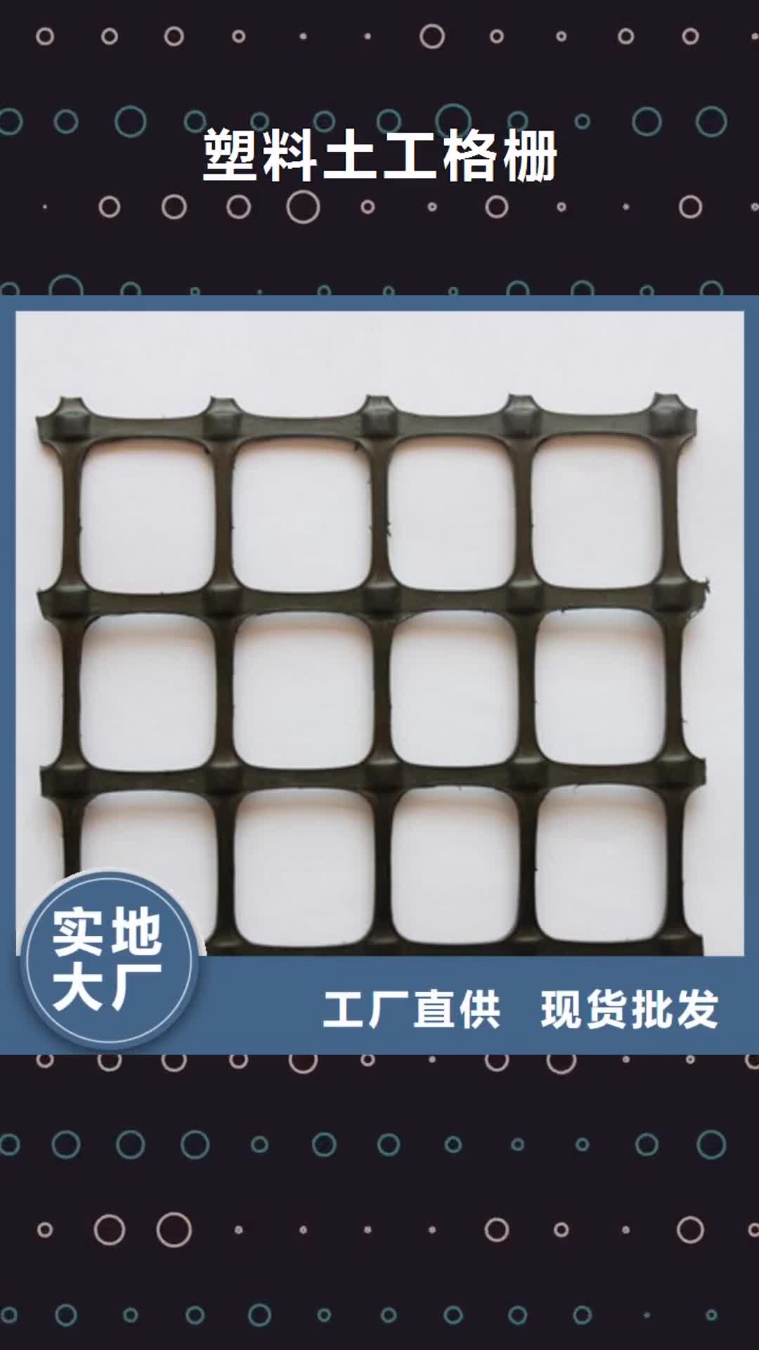 丽水 塑料土工格栅【三维植被网】口碑好实力强