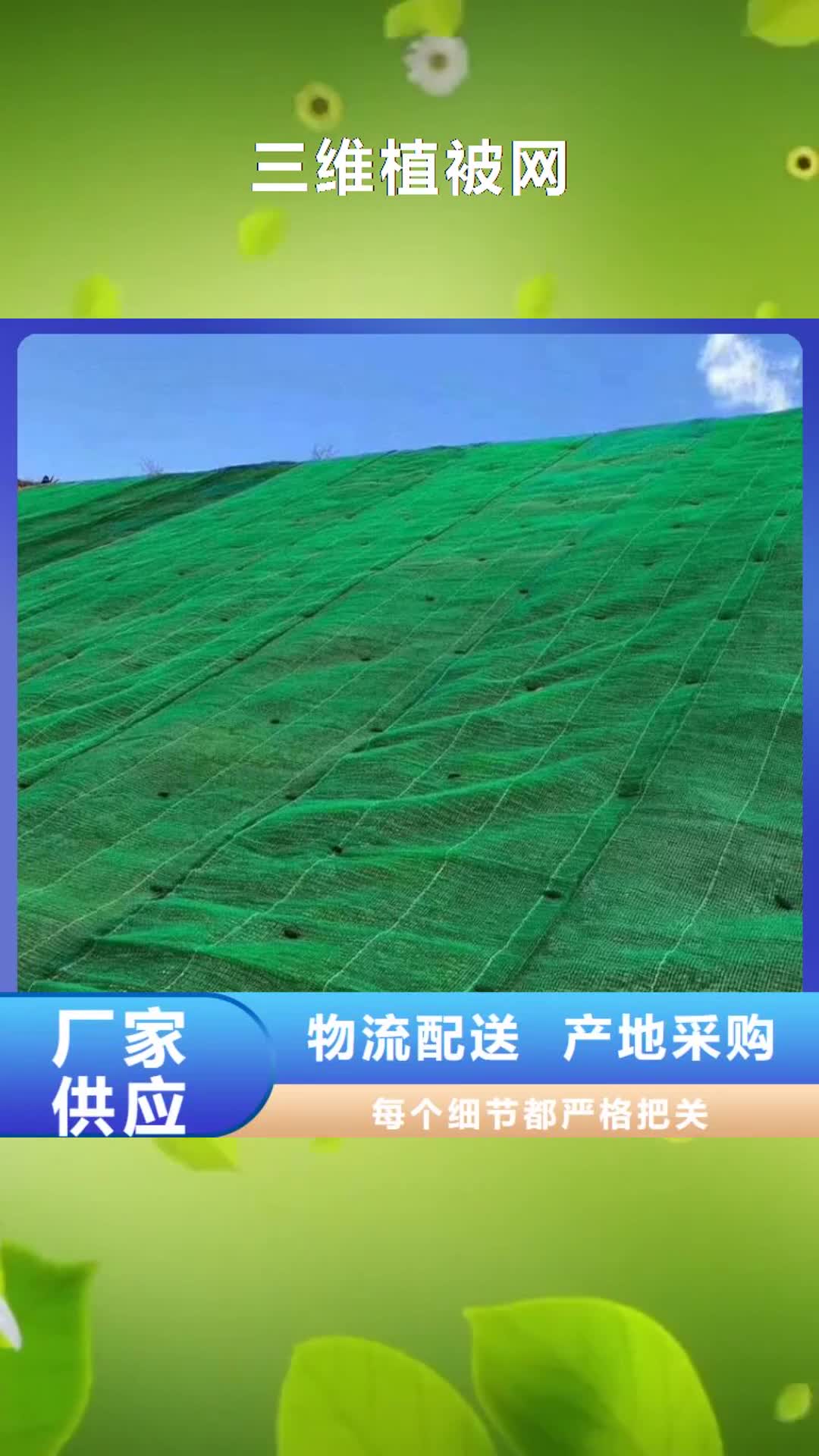 吉安【三维植被网】_涤纶格栅库存量大