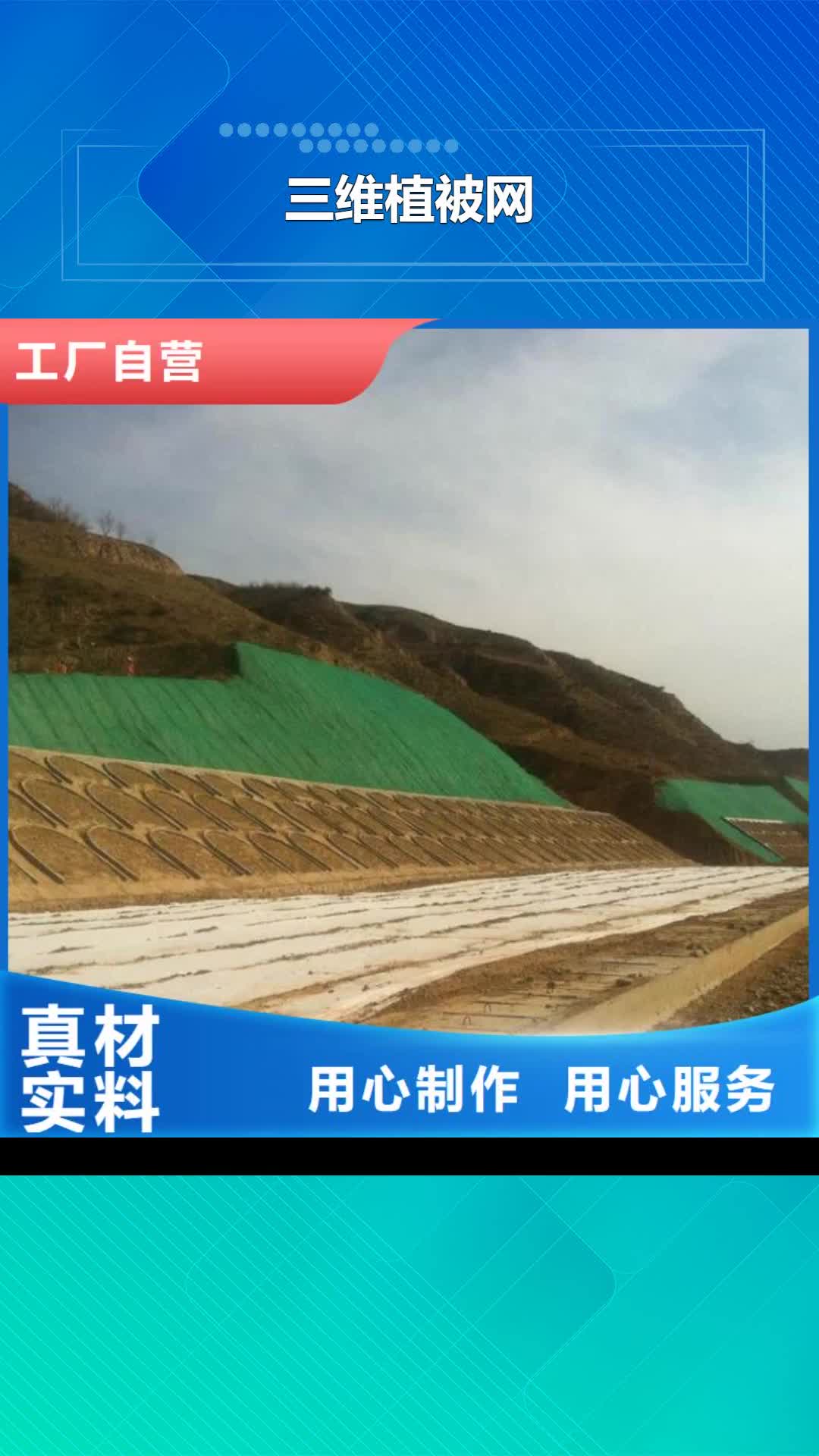 【大同 三维植被网 HDPE土工膜的简单介绍】