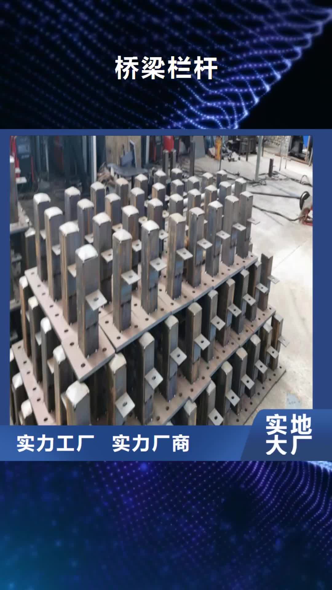 齐齐哈尔【桥梁栏杆】,河道栏杆支持拿样