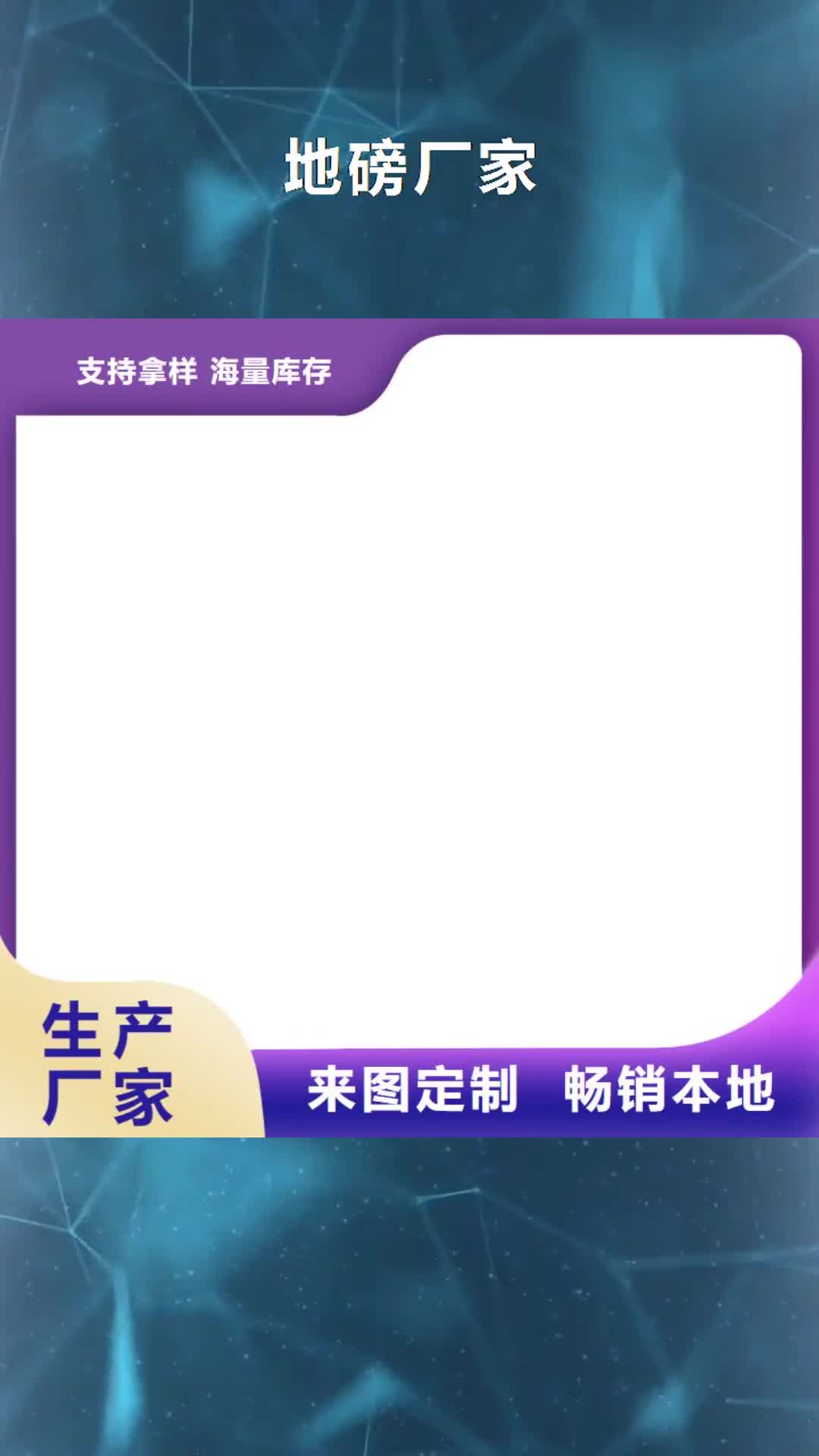 【福建 地磅厂家,电子吊磅根据要求定制】