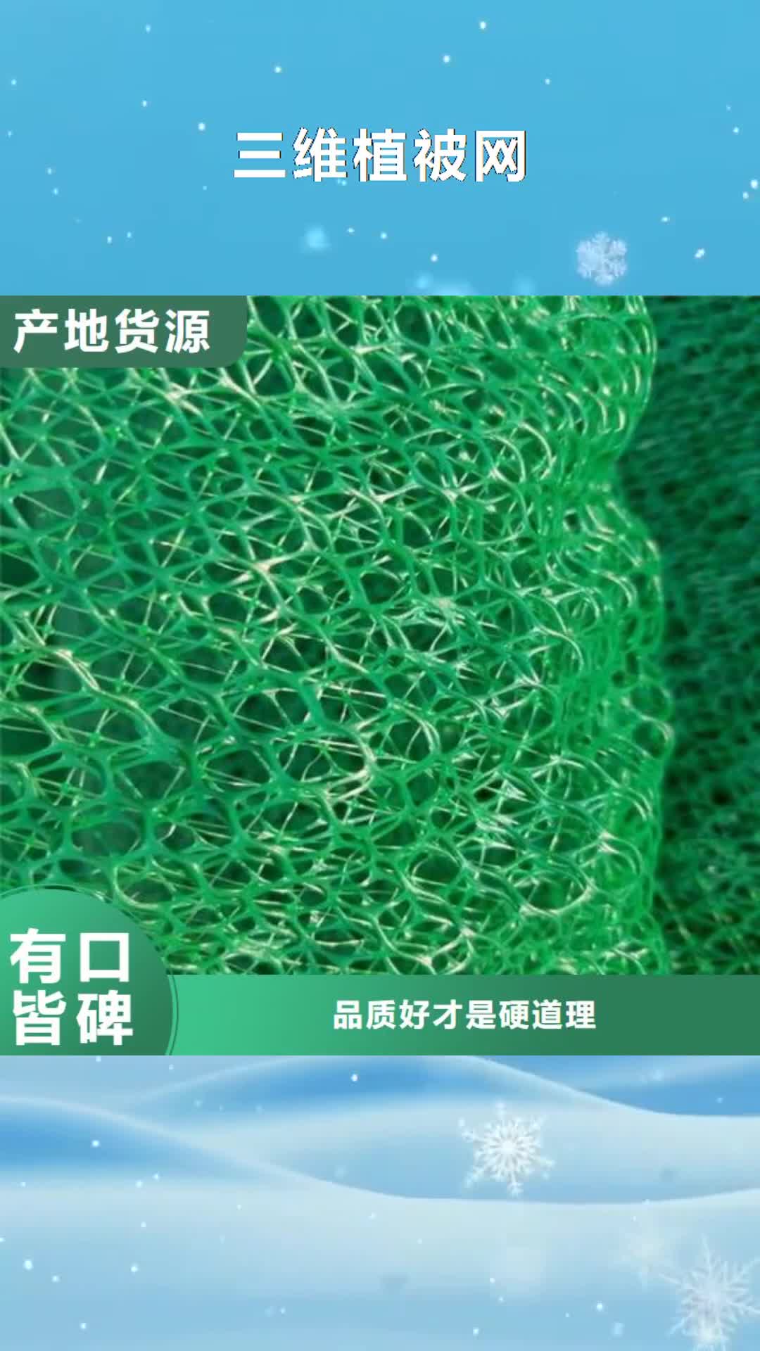 佛山 三维植被网讲信誉保质量