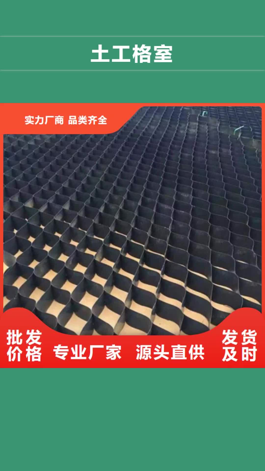 长治 土工格室【玻纤格栅】匠心品质
