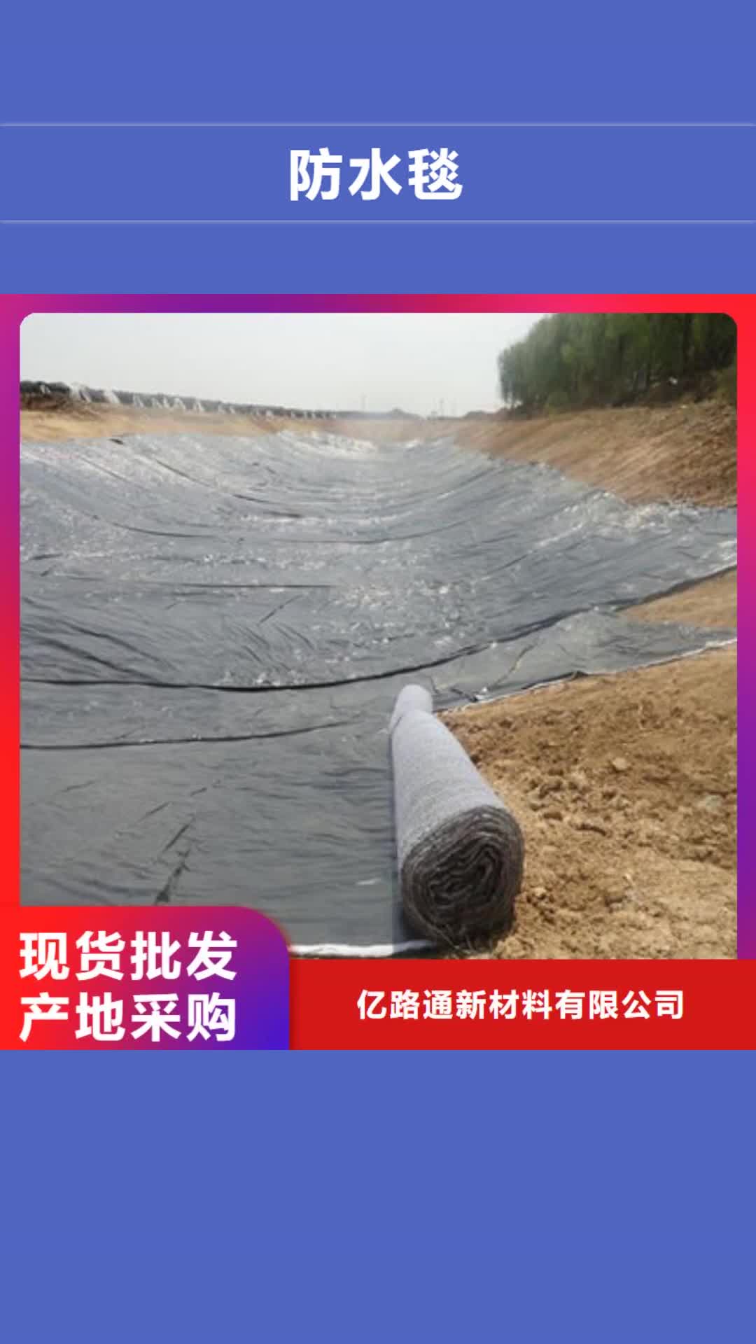 泰安【防水毯】,钢塑土工格栅厂家产品性能