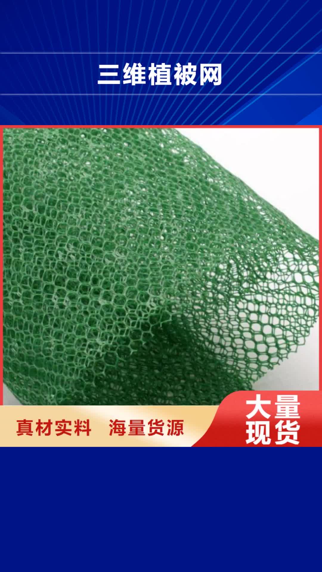 武威 三维植被网-【三维水土保护毯】用心制作
