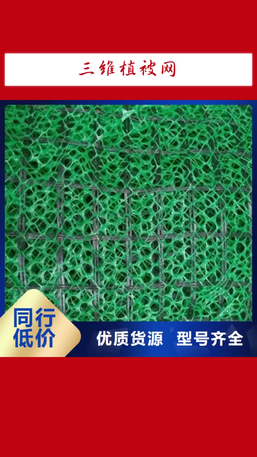 阿拉善【三维植被网】_HDPE土工膜规格齐全
