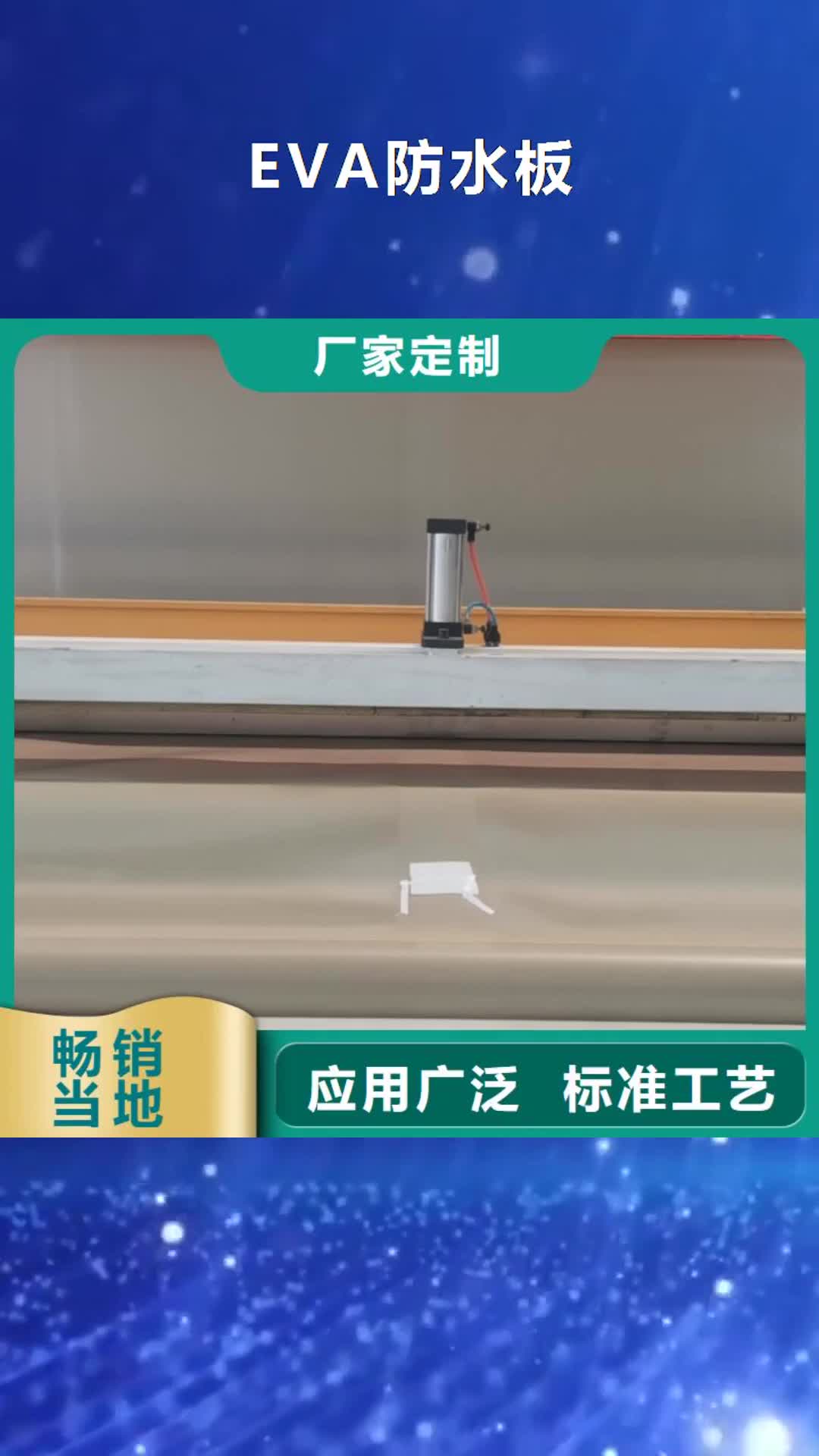 【延安 EVA防水板 硬式透水管打造行业品质】