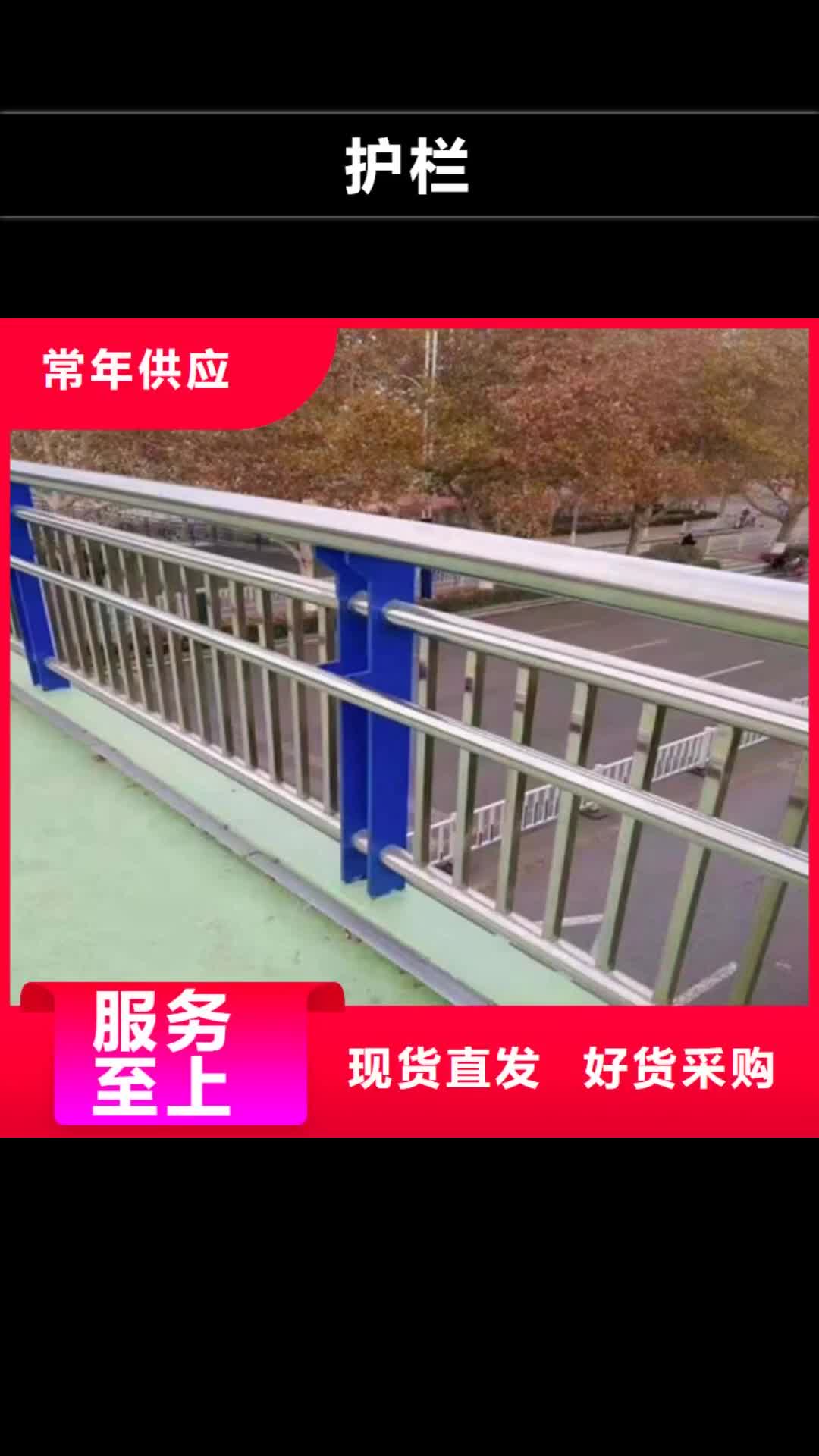 【西双版纳 护栏-桥梁护栏厂家工艺先进】