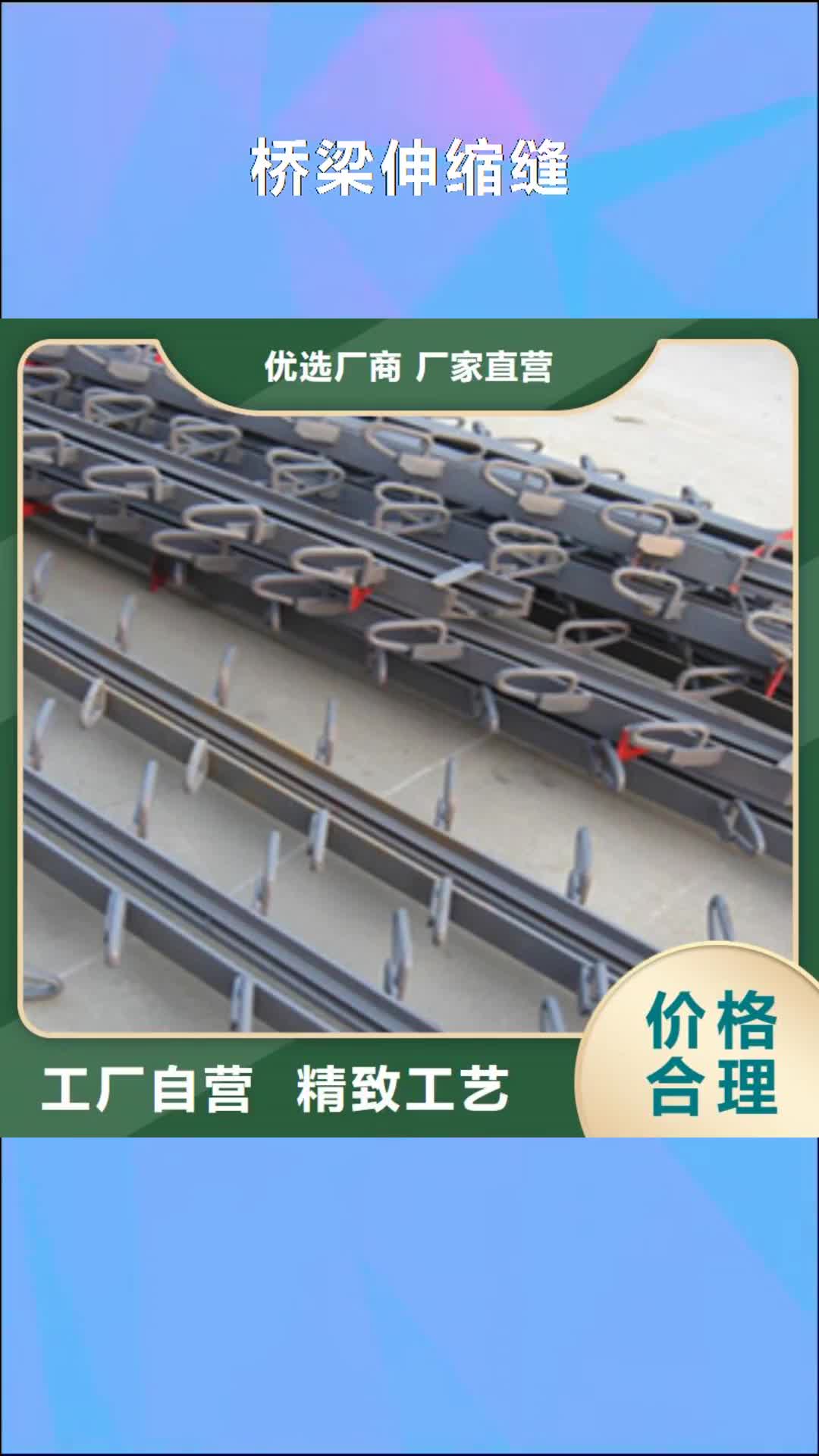 佛山 桥梁伸缩缝-【桥梁支座更换】好品质经得住考验
