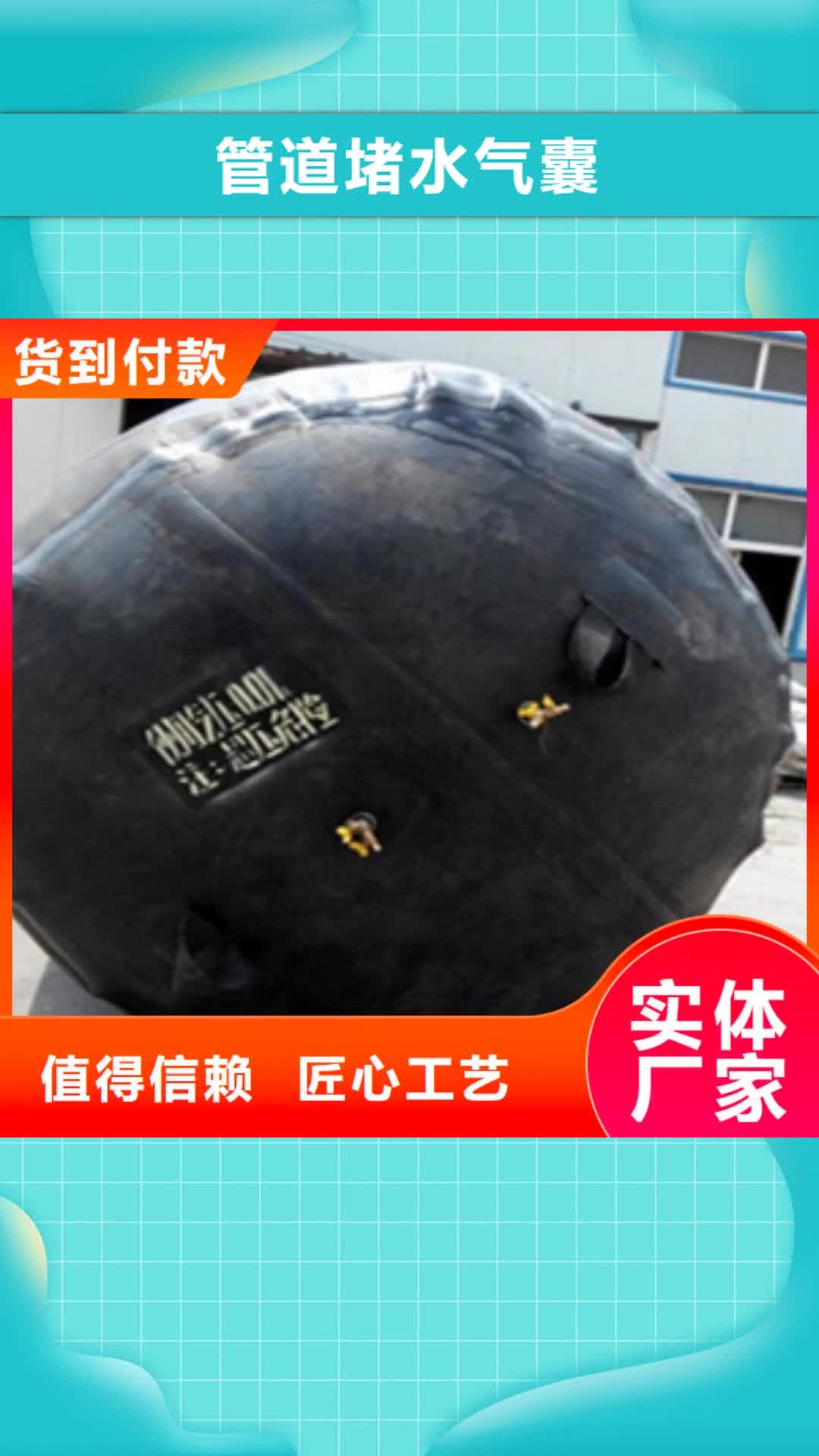 【上海 管道堵水气囊 桥梁支座更换工艺层层把关】
