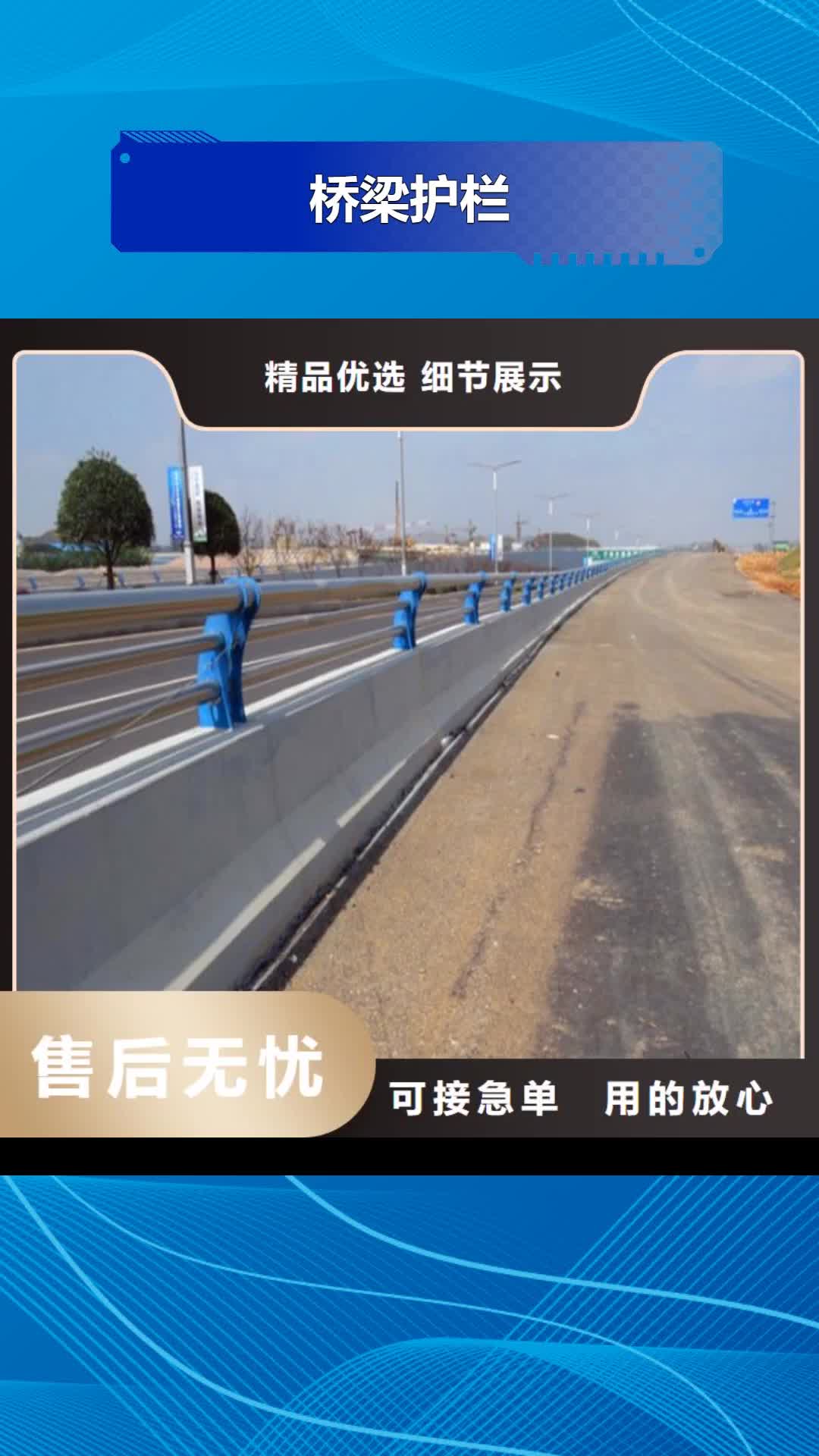 【滁州 桥梁护栏_河道护栏专业生产品质保证】