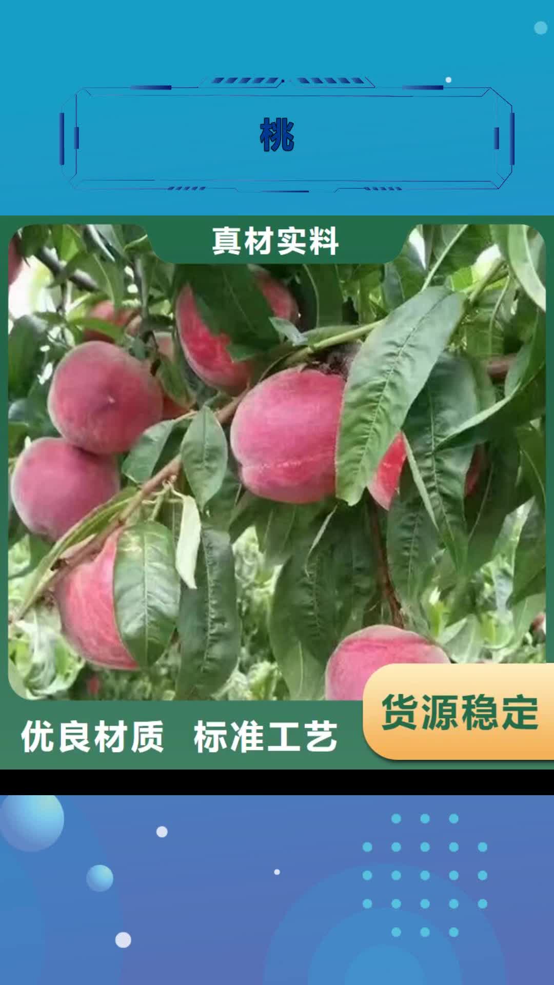 【长沙 桃_桃树苗有实力有经验】