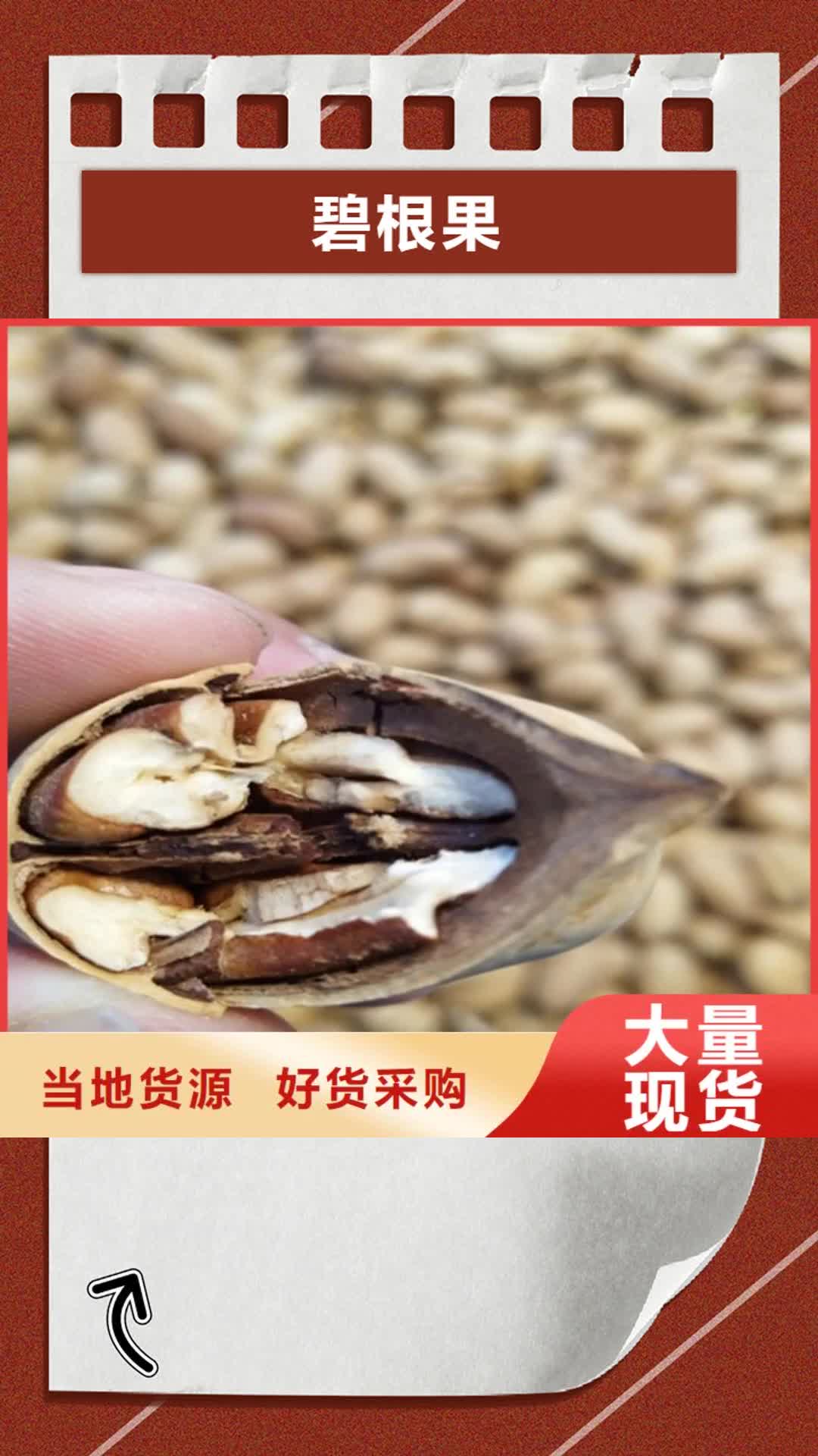 【曲靖 碧根果-樱桃苗优势】