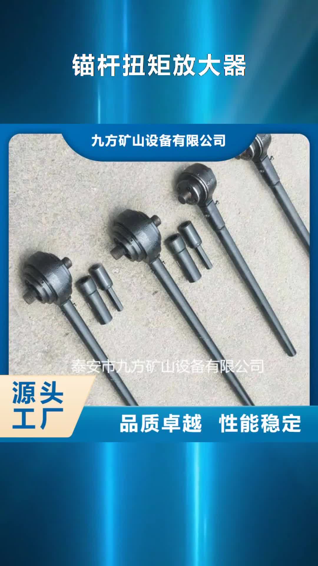 【绵阳 锚杆扭矩放大器 单体支柱测压仪品质商家】