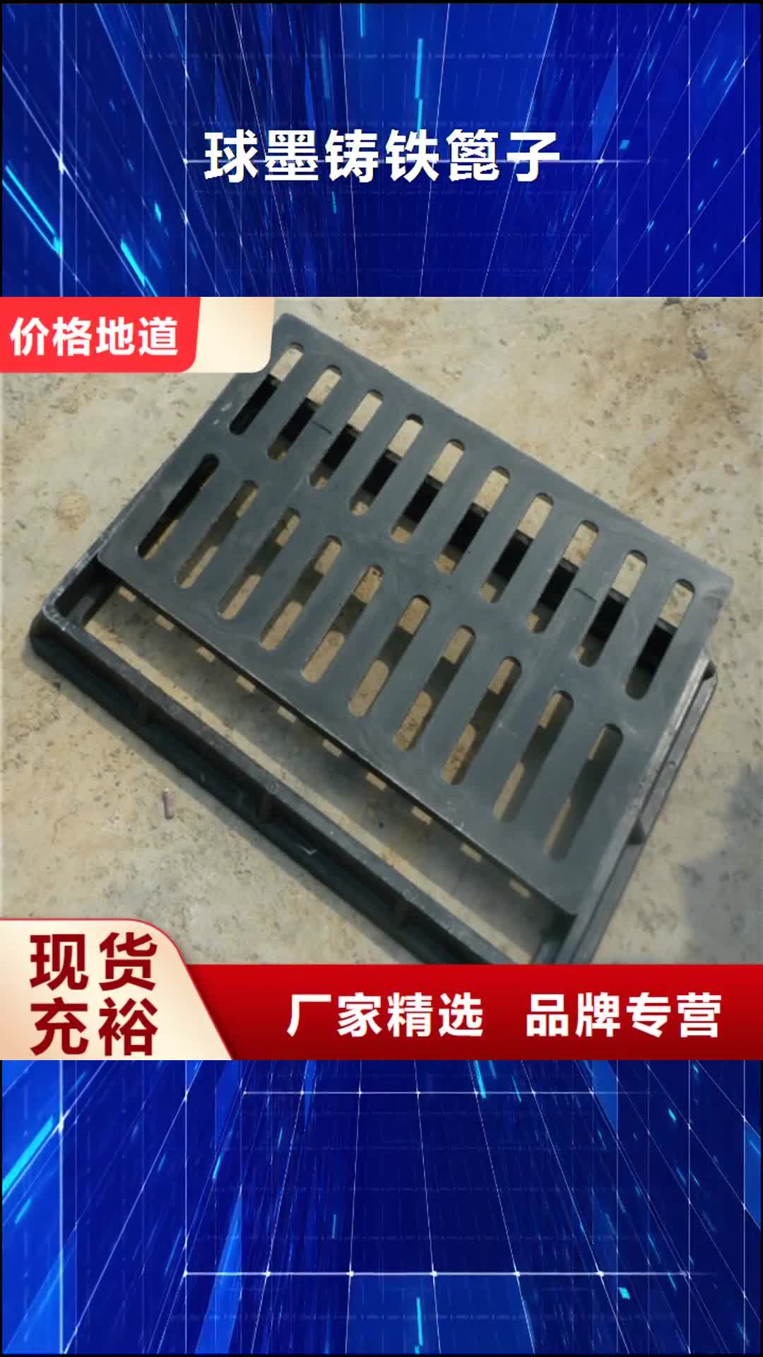 大连【球墨铸铁篦子】,球墨铸铁排污管批发供应