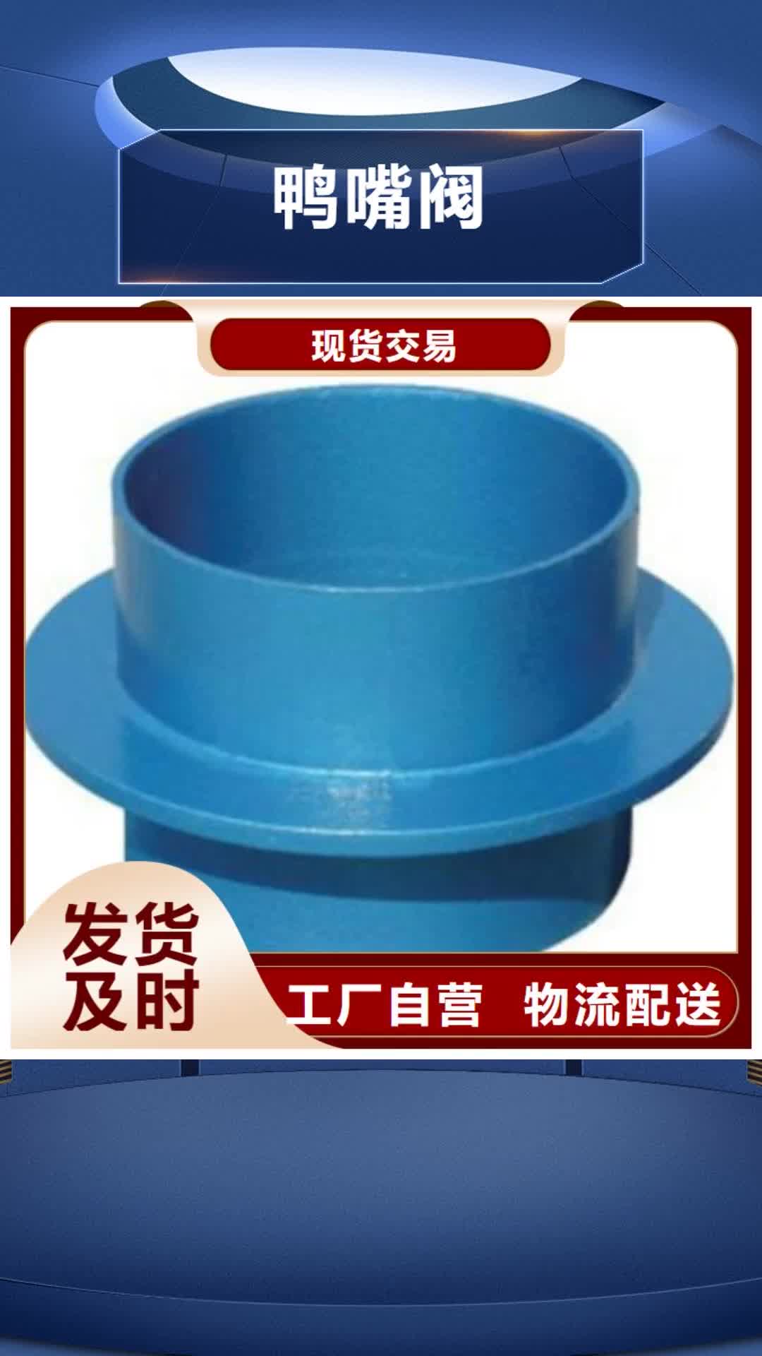 【许昌 鸭嘴阀 椰壳活性炭厂家生产型】