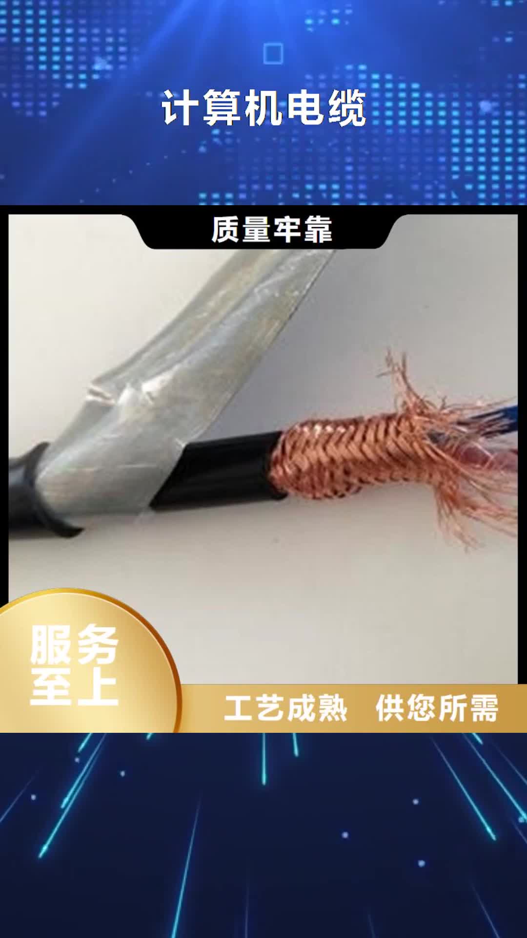 防城港【计算机电缆】_煤矿用阻燃控制电缆产地采购