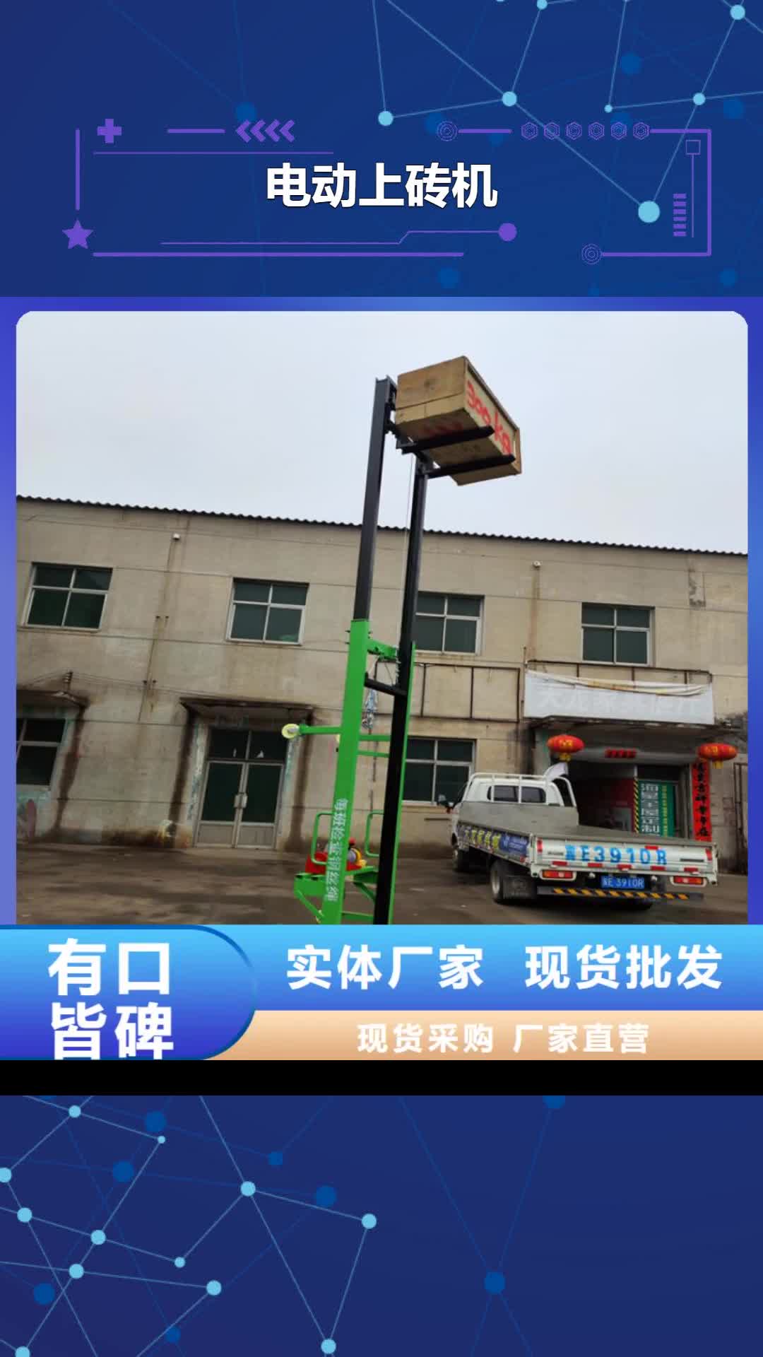 河北 电动上砖机,【缠绕膜打包机厂家】检验发货