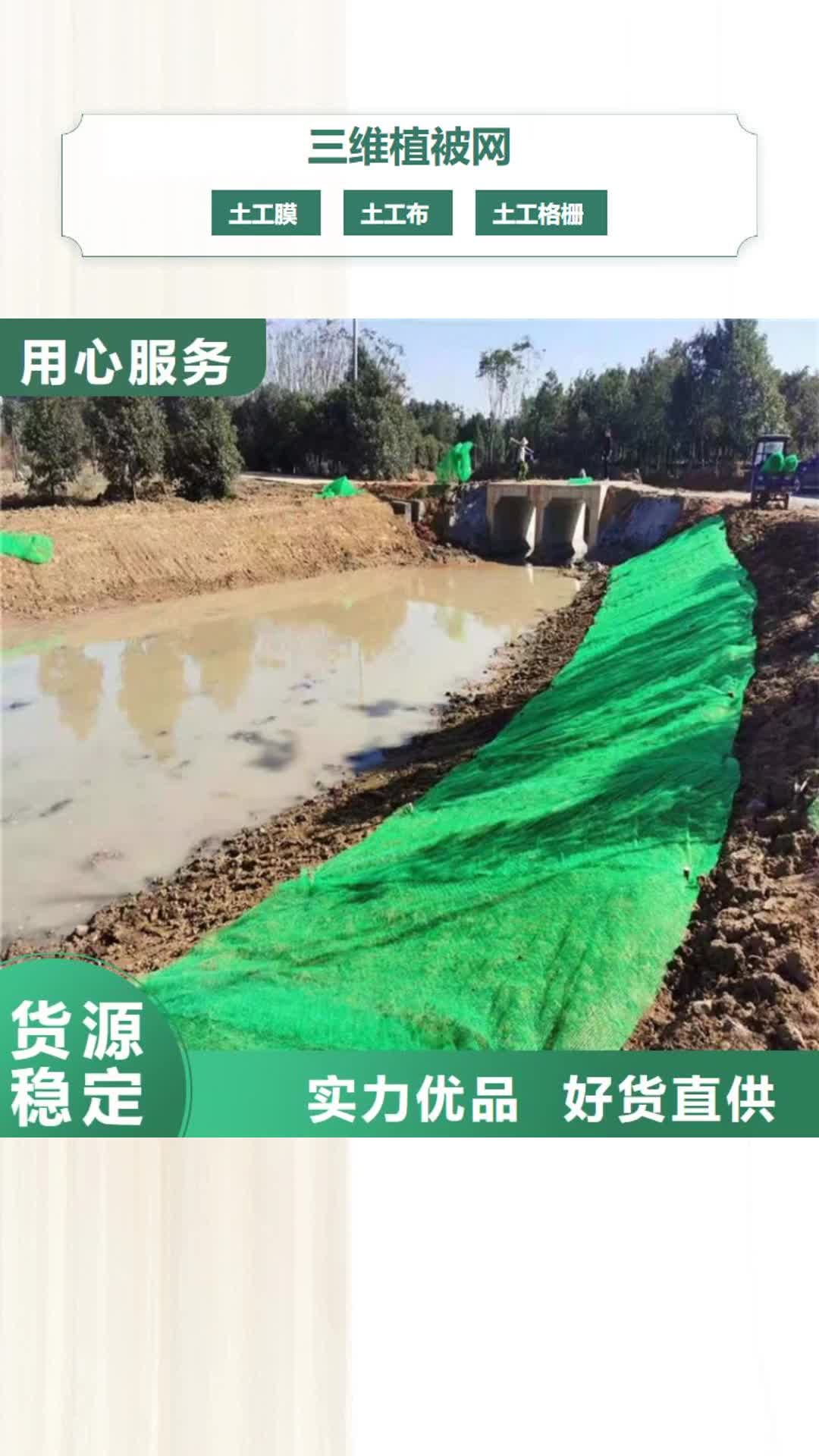 【晋城 三维植被网_土工膜快速物流发货】