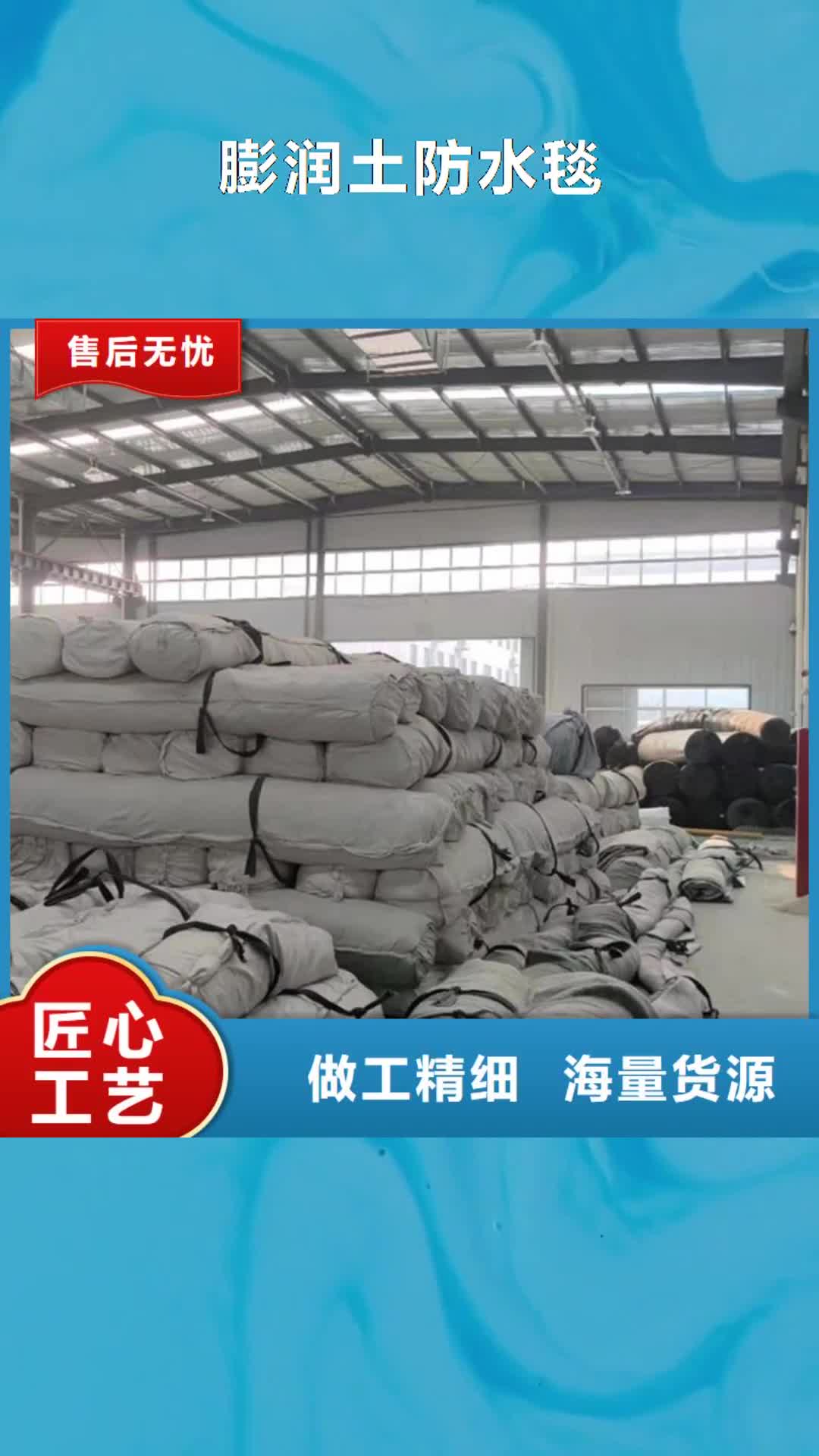 佳木斯【膨润土防水毯】土工膜厂家实力雄厚
