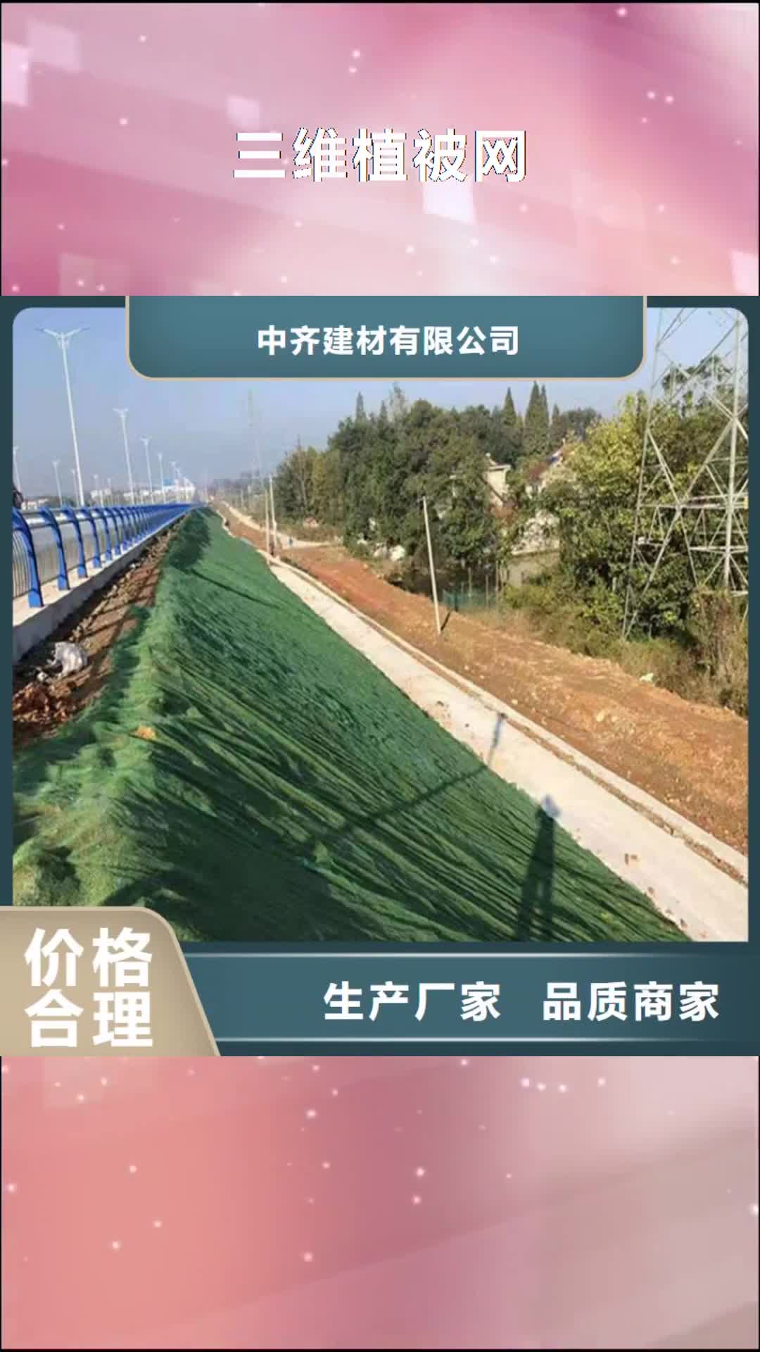 通化 三维植被网_【防渗膜】放心购