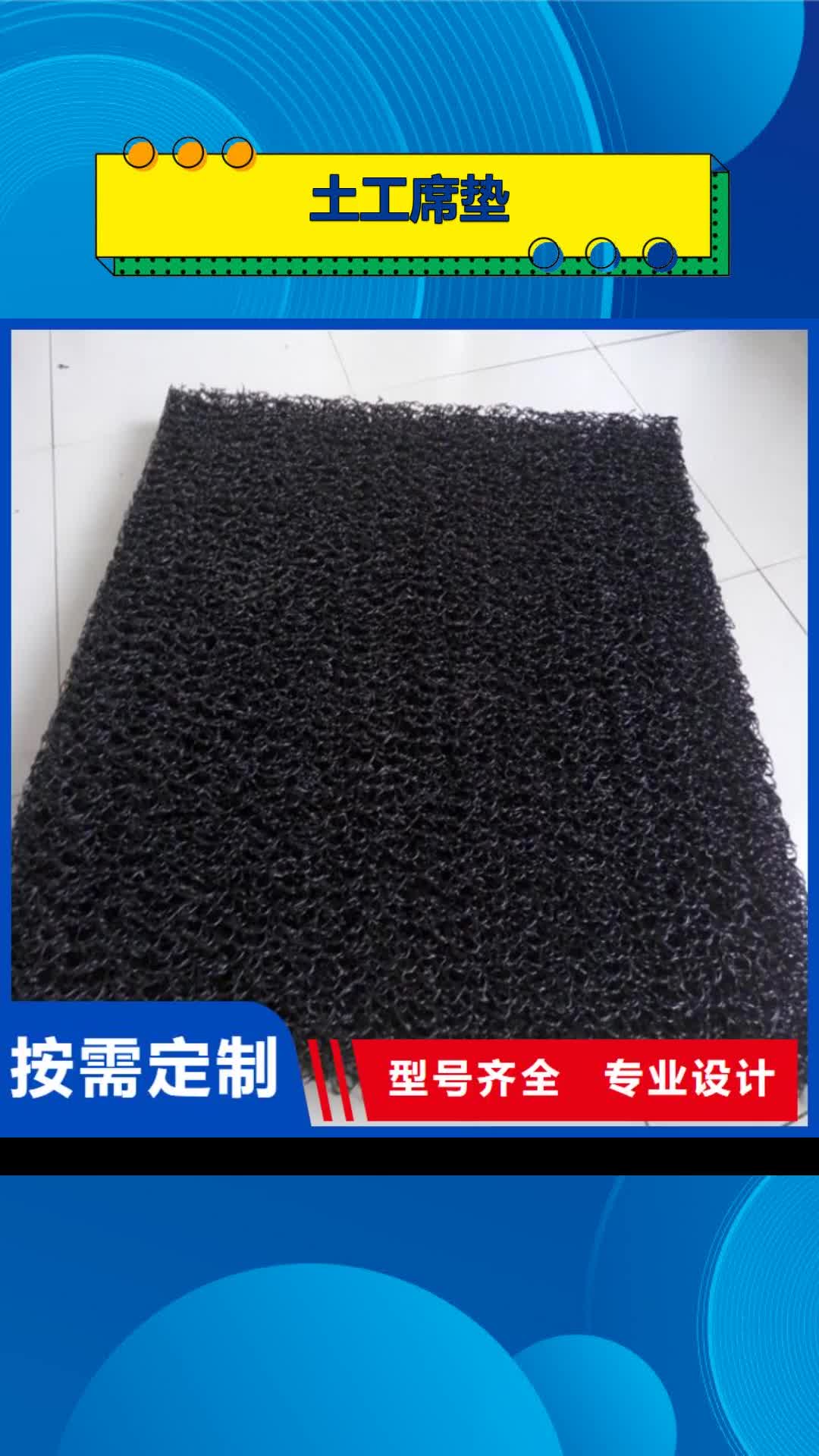 普洱 土工席垫【塑料土工格栅】厂家直营