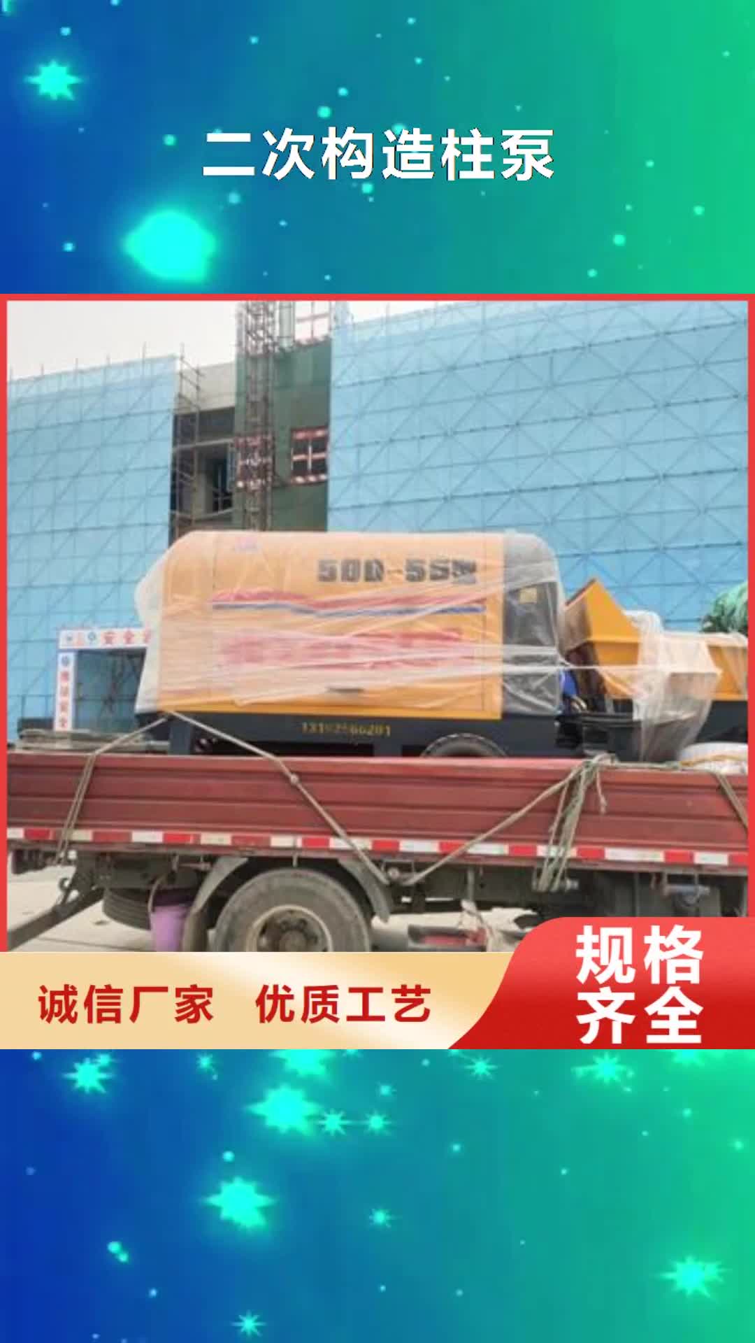 云南 二次构造柱泵高性价比