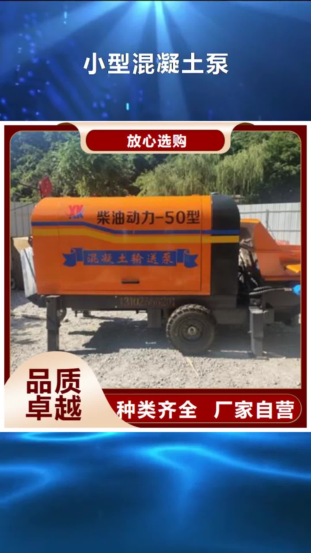 六盘水 小型混凝土泵 【细石混凝土输送泵  】货源直供