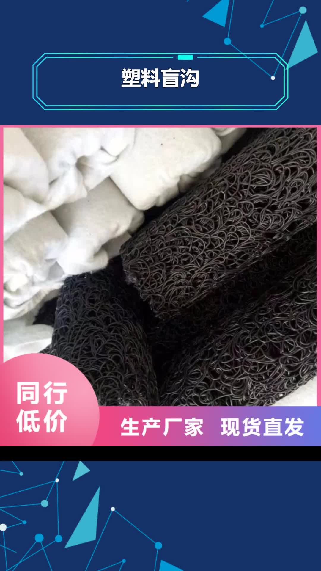 铜陵 塑料盲沟 【防水毯】来图来样定制