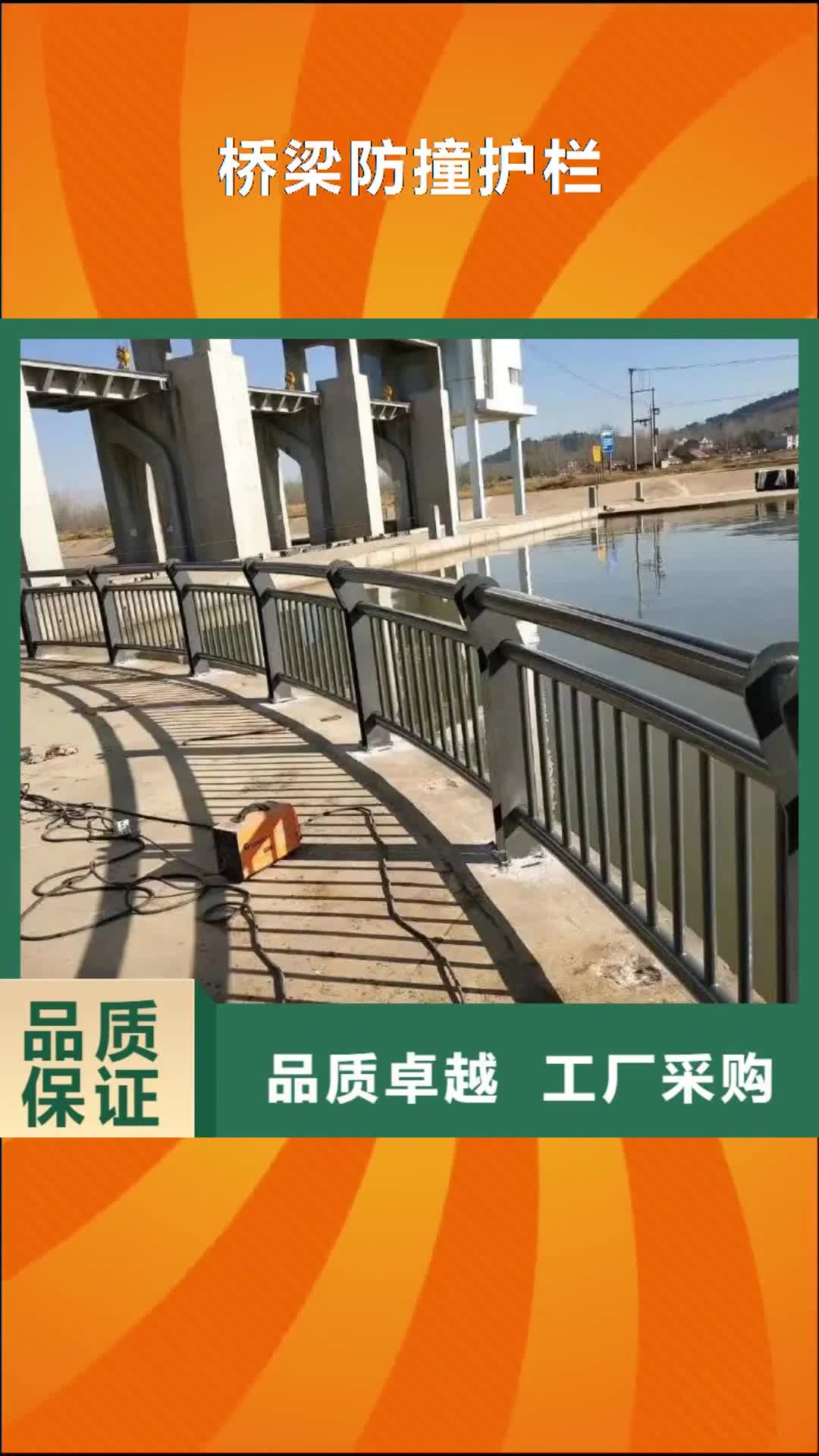 【抚州 桥梁防撞护栏,人车分流栏选择大厂家省事省心】