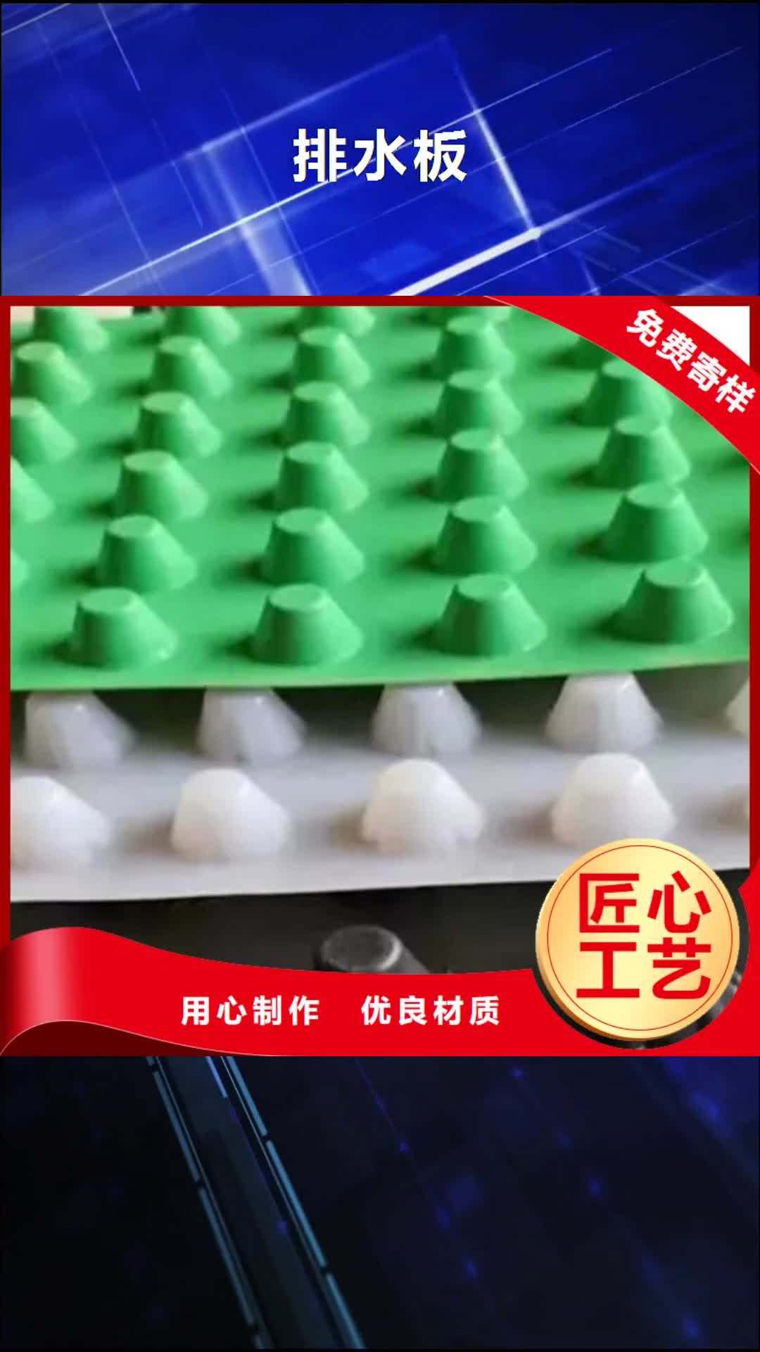 秦皇岛【排水板】_ 植草格源头把关放心选购