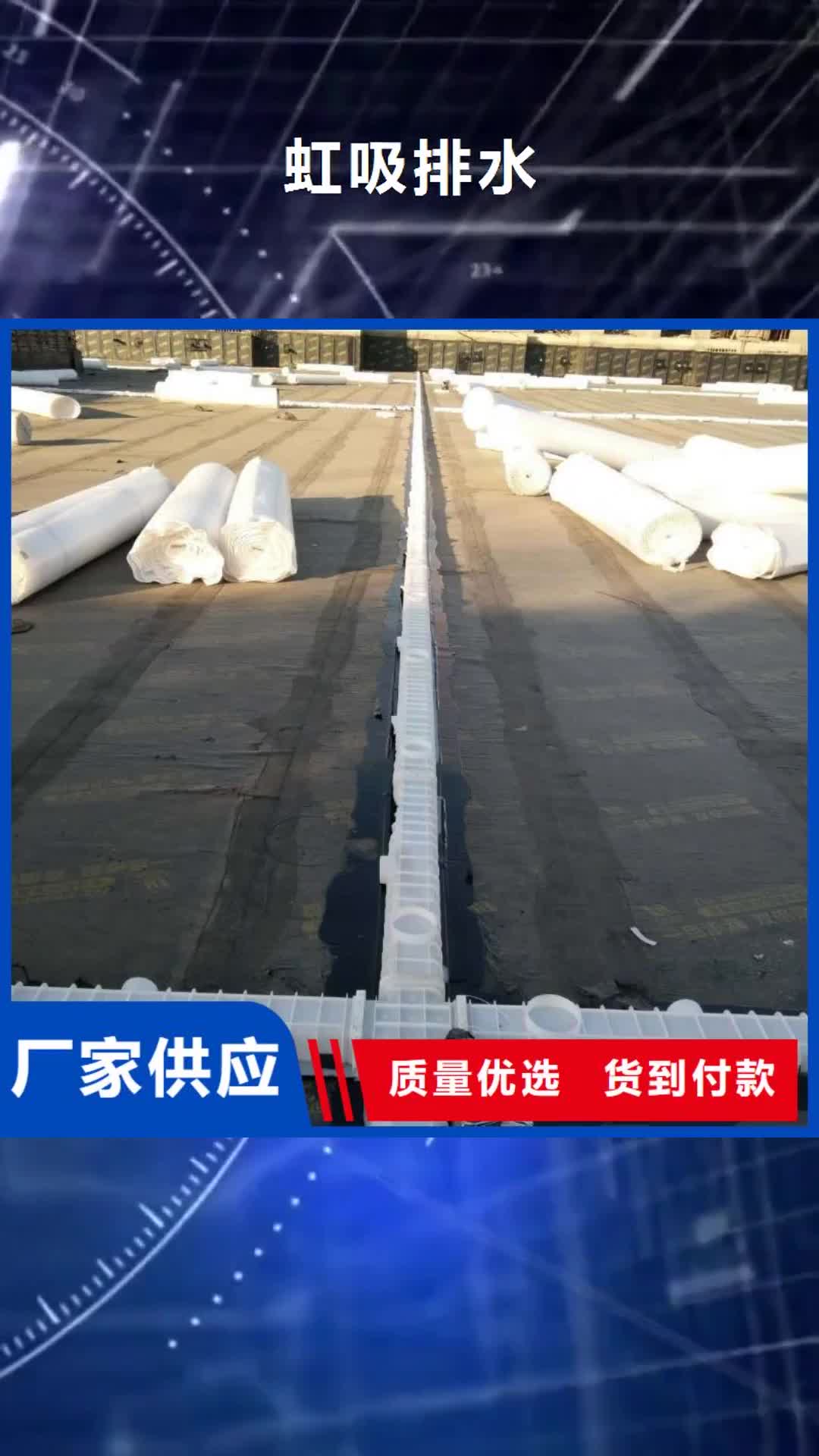 黄石 虹吸排水【 植草格】实地大厂